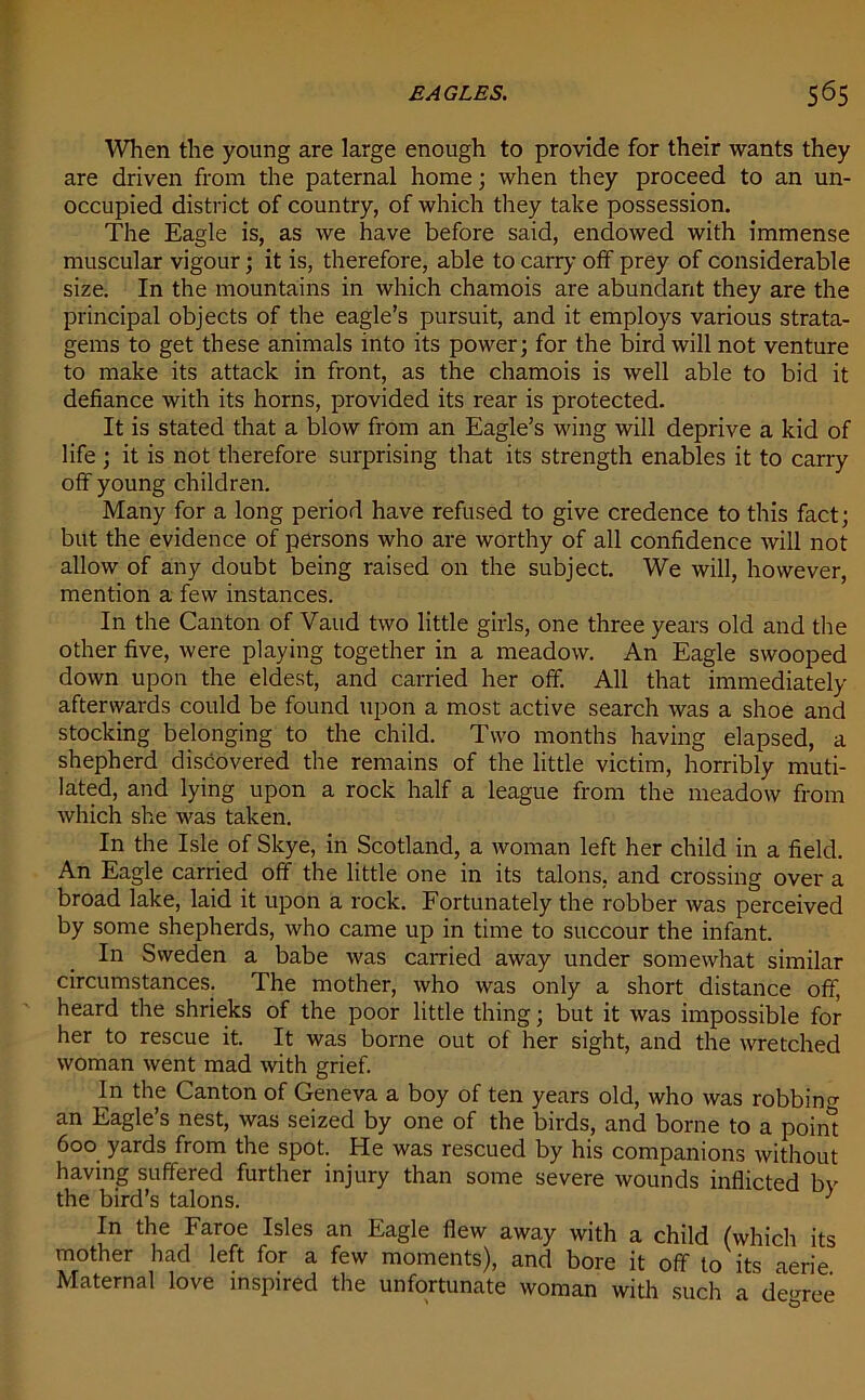 When the young are large enough to provide for their wants they are driven from the paternal home; when they proceed to an un- occupied district of country, of which they take possession. The Eagle is, as we have before said, endowed with immense muscular vigour; it is, therefore, able to carry off prey of considerable size. In the mountains in which chamois are abundant they are the principal objects of the eagle’s pursuit, and it employs various strata- gems to get these animals into its power; for the bird will not venture to make its attack in front, as the chamois is well able to bid it defiance with its horns, provided its rear is protected. It is stated that a blow from an Eagle’s wing will deprive a kid of life ; it is not therefore surprising that its strength enables it to carry off young children. Many for a long period have refused to give credence to this fact; but the evidence of persons who are worthy of all confidence will not allow of any doubt being raised on the subject. We will, however, mention a few instances. In the Canton of Vaud two little girls, one three years old and the other five, were playing together in a meadow. An Eagle swooped down upon the eldest, and carried her off. All that immediately afterwards could be found upon a most active search was a shoe and stocking belonging to the child. Two months having elapsed, a shepherd discovered the remains of the little victim, horribly muti- lated, and lying upon a rock half a league from the meadow from which she was taken. In the Isle of Skye, in Scotland, a woman left her child in a field. An Eagle carried off the little one in its talons, and crossing over a broad lake, laid it upon a rock. Fortunately the robber was perceived by some shepherds, who came up in time to succour the infant. In Sweden a babe was carried away under somewhat similar circumstances. The mother, who was only a short distance off, heard the shrieks of the poor little thing; but it was impossible for her to rescue it. It was borne out of her sight, and the wretched woman went mad with grief. In the Canton of Geneva a boy of ten years old, who was robbing an Eagle’s nest, was seized by one of the birds, and borne to a point 600 yards from the spot. He was rescued by his companions without having suffered further injury than some severe wounds inflicted by the bird’s talons. 3 In the Faroe Isles an Eagle flew away with a child (which its mother had left for a few moments), and bore it off to its aerie Maternal love inspired the unfortunate woman with such a degree