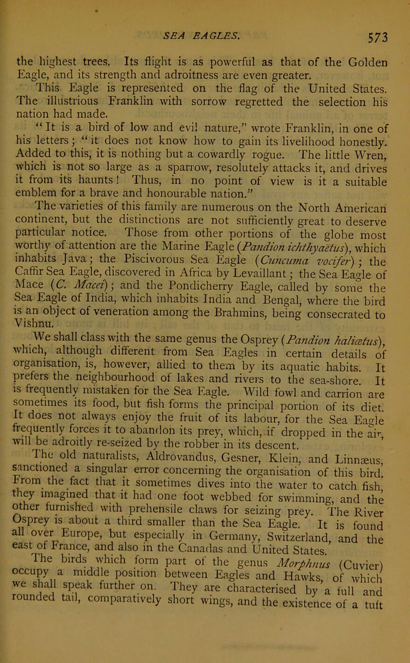 the highest trees. Its flight is as powerful as that of the Golden Eagle, and its strength and adroitness are even greater. This Eagle is represented on the flag of the United States. The illustrious Franklin with sorrow regretted the selection his nation had made. “ It is a bird of low and evil nature,” wrote Franklin, in one of his letters; “ it does not know how to gain its livelihood honestly. Added to this, it is nothing but a cowardly rogue. The little Wren, which is not so large as a sparrow, resolutely attacks it, and drives it from its haunts ! Thus, in no point of view is it a suitable emblem for a brave and honourable nation.” The varieties of this family are numerous on the North American continent, but the distinctions are not sufficiently great to deserve particular notice. Those from other portions of the globe most worthy of attention are the Marine Eagle (Pcindion ichthyaetus), which inhabits Java; the Piscivorous Sea Eagle (Cuncumci vocifer); the Caffir Sea Eagle, discovered in Africa by Levaillant; the Sea Eagle of Mace (C. Macei) -, and the Pondicherry Eagle, called by some the Sea Eagle of India, which inhabits India and Bengal, where the bird is an object of veneration among the Brahmins, being consecrated to Vishnu. We shall class with the same genus the Osprey (Pcuidion haliceius), which, although different from Sea Eagles in certain details of organisation, is, however, allied to them by its aquatic habits. It prefeis the neighbourhood of lakes and rivers to the sea-shore It is frequently mistaken for the Sea Eagle. Wild fowl and carrion are sometimes its food, but fish forms the principal portion of its diet It does not always enjoy the fruit of its labour, for the Sea Eagle frequently forces it to abandon its prey, which, if dropped in the air will be adroitly re-seized by the robber in its descent. I he old naturalists, Aldrovandus, Gesner, Klein, and Linnaeus, sanctioned a singular error concerning the organisation of this bird! From the fact that it sometimes dives into the water to catch fish t ey imagined that it had one foot webbed for swimming, and the other furnished with prehensile claws for seizing prey. The River Osprey is about a third smaller than the Sea Eagle. It is found aH over Europe, but especially in Germany, Switzerland, and the east of France, and also in the Canadas and United States The birds which form part of the genus Morphnus (Cuvier) occupy a middle position between Eagles and Hawks, of which we shall speak further on. They are characterised by a full and rounded tail, comparatively short wings, and the existence of a tuft