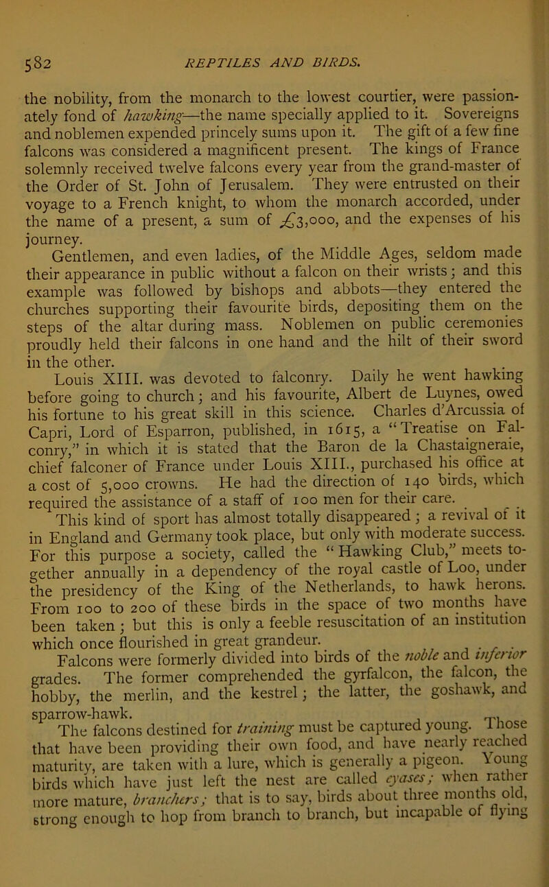 the nobility, from the monarch to the lowest courtier, were passion- ately fond of hawking—the name specially applied to it. Sovereigns and noblemen expended princely sums upon it. The gift of a few fine falcons was considered a magnificent present. The kings of France solemnly received twelve falcons every year from the grand-master of the Order of St. John of Jerusalem. They were entrusted on their voyage to a French knight, to whom the monarch accorded, under the name of a present, a sum of ^3,000, and the expenses of his journey. Gentlemen, and even ladies, of the Middle Ages, seldom made their appearance in public without a falcon on their wrists ■ and this example was followed by bishops and abbots—they entered the churches supporting their favourite birds, depositing them on the steps of the altar during mass. Noblemen on public ceremonies proudly held their falcons in one hand and the hilt of their sword in the other. Louis XIII. was devoted to falconry. Daily he went hawking before going to church; and his favourite, Albert de Luynes, owed his fortune to his great skill in this science. Charles d’Arcussia of Capri, Lord of Esparron, published, in 1615, a “Treatise on Fal- conry,” in which it is stated that the Baron de la Chastaigneraie, chief falconer of France under Louis XIII., purchased his office at a cost of 5,000 crowns. He had the direction of 140 birds, which required the assistance of a staff of 100 men for their care. _ __ This kind of sport has almost totally disappeared ; a revival oi it in England and Germany took place, but only with moderate success. For this purpose a society, called the “ Hawking Club,” meets to- gether annually in a dependency of the royal castle of Loo, under the presidency of the King of the Netherlands, to hawk herons. From 100 to 200 of these birds in the space of two months have been taken ; but this is only a feeble resuscitation of an institution which once flourished in great grandeur.. . Falcons were formerly divided into birds of the noble and mjetior grades. The former comprehended the gyrfalcon, the falcon, the hobby, the merlin, and the kestrel; the latter, the goshawk, and sparrow-hawk. The falcons destined for training must be captured young, i liose that have been providing their own food, and have nearly leached maturity, are taken with a lure, which is generally a pigeon. Young birds which have just left the nest are called eyases; when rather more mature, branchers; that is to say, birds about three months old, strong enough to hop from branch to branch, but incapable of flying