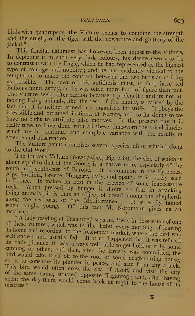 birds with quadrupeds, the Vulture seems to combine the strength and the cruelty of the tiger with the cowardice and gluttony of the jackal.” This fanciful naturalist has, however, been unjust to the Vulture. In depicting it in such very dark colours, his desire seems to be to contrast it with the Eagle, which he had represented as the highest type of courage and nobility; and he has evidently yielded to the temptation to make the contrast between the two birds as striking as possible. The idea of this antithesis must, in fact, have led Bufton s mind astray, as he was often more fond of figure than fact. The Vulture seeks after carrion because it prefers it; and its not at- tacking living animals, like the rest of the family, is caused by the fact that it is neither armed nor organised for strife. It obeys the irresistible.and ordained instincts of Nature, and to its doin°- so we have no right to attribute false motives. In the present day it is ready time to have done with all these time-worn rhetorical fancies which are 111 continual and complete variance with the results of science and observation. TbeVulture genus comprises several species, all of which belong to the Old World. The Fulvous Vulture {Gypsfulvus, Fig. 284), the size of which is about equal to that of the Goose, is a native more especially of the south and south-east of Europe. It is common in the Pyrenees, Alps, Sardinia Greece, Hungary, Italy, and Spain; it is rarely seen ro!ranwi Jt makeV? nft m the crevice of some inaccessible ock. When pressed by hunger it shows no fear in attacking lving animals; it is thus an object of dread among the shepherds along the sea-coast of the Mediterranean. It is easily tamed bsSnce:^ ^ °f ^ ** M‘ No*mann us an Of th£JadVeSidin^ at, TaSam'°g>” says he, “was in possession of one of these vultures, which was in the habit every morning of leaving its home and resorting to the fresh-meat market, where the bird was well known and usually fed. If it so happened that it was^refuled its daily pittance, it was always well able to get hold of it bv some cunning or other; and then, after the larceny was committed he bird wouM take itself off to the roof of some7 neigh Wm “ house Thif Wl !T f plunder 111 Peace. and safe from any attack’ mistress!” ^W0U,d b“k a.Nighf ^ h^o™.! X