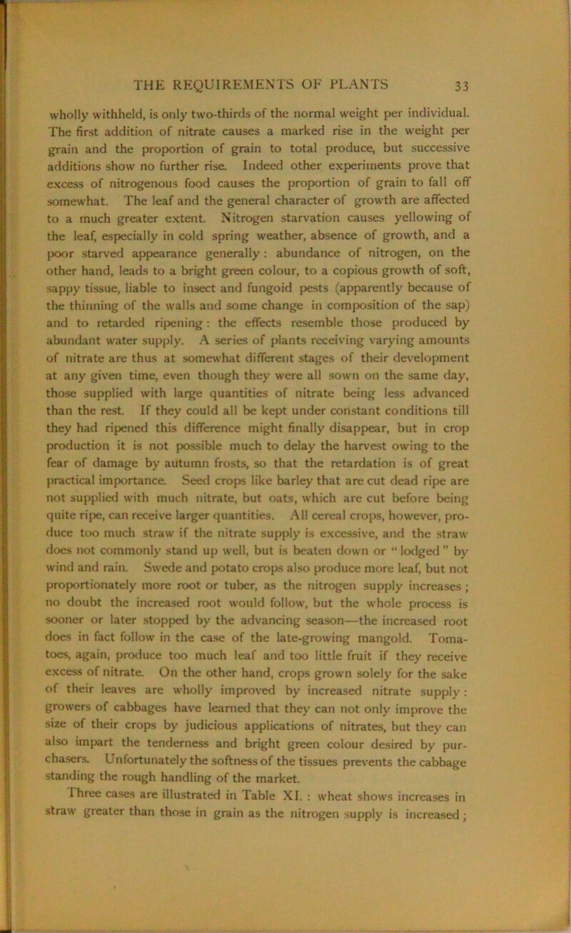 wholly withheld, is only two-thirds of the normal weight per individual. The first addition of nitrate causes a marked rise in the weight per grain and the proportion of grain to total produce, but successive additions show no further rise. Indeed other experiments prove that excess of nitrogenous food causes the proportion of grain to fall off somewhat. The leaf and the general character of growth are affected to a much greater extent. Nitrogen starvation causes yellowing of the leaf, especially in cold spring weather, absence of growth, and a poor starved appearance generally : abundance of nitrogen, on the other hand, leads to a bright green colour, to a copious growth of soft, sappy tissue, liable to insect and fungoid pests (apparently because of the thinning of the walls and some change in composition of the sap) and to retarded ripening: the effects resemble those produced by abundant water supply. A series of plants receiving varying amounts of nitrate are thus at somewhat different stages of their development at any given time, even though they were all sown on the same day, those supplied with large quantities of nitrate being less advanced than the rest. If they could all be kept under constant conditions till they had ripened this difference might finally disappear, but in crop production it is not possible much to delay the harvest owing to the fear of damage by autumn frosts, so that the retardation is of great practical importance. Seed crops like barley that are cut dead ripe are not supplied with much nitrate, but oats, which are cut before being quite ripe, can receive larger quantities. All cereal crops, however, pro- duce too much straw if the nitrate supply is excessive, and the straw does not commonly stand up well, but is beaten down or “ lodged ” by wind and rain. Swede and potato crops also produce more leaf, but not proportionately more root or tuber, as the nitrogen supply increases ; no doubt the increased root would follow, but the whole process is sooner or later stopped by the advancing season—the increased root does in fact follow in the case of the late-growing mangold. Toma- toes, again, produce too much leaf and too little fruit if they receive excess of nitrate. On the other hand, crops grown solely for the sake of their leaves are wholly improved by increased nitrate supply: growers of cabbages have learned that they can not only improve the size of their crops by judicious applications of nitrates, but they can also impart the tenderness and bright green colour desired by pur- chasers. Unfortunately the softness of the tissues prevents the cabbage standing the rough handling of the market. Ihree cases are illustrated in Table XI. : wheat shows increases in straw greater than those in grain as the nitrogen supply is increased ;