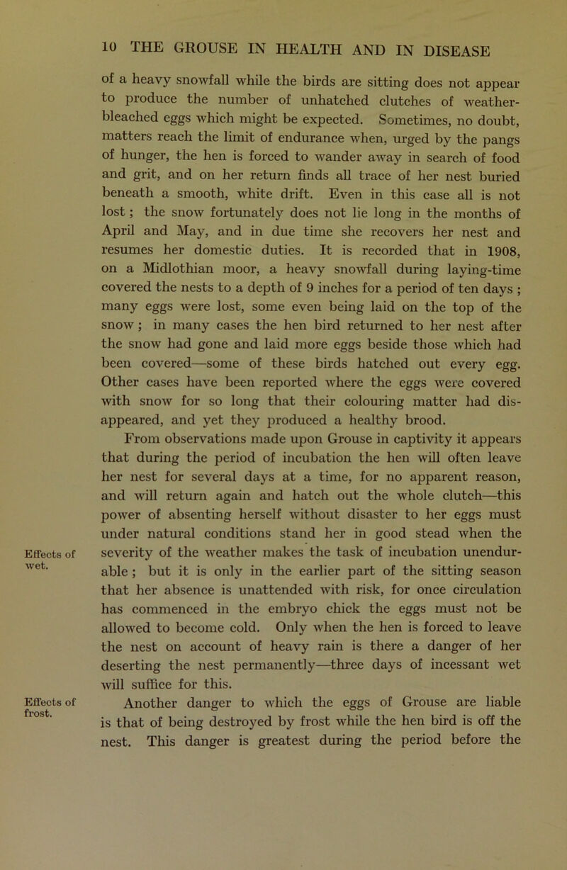 Effects of wet. Effects of frost. of a heavy snowfall while the birds are sitting does not appear to produce the number of unhatched clutches of weather- bleached eggs which might be expected. Sometimes, no doubt, matters reach the limit of endurance when, urged by the pangs of hunger, the hen is forced to wander away in search of food and grit, and on her return finds all trace of her nest buried beneath a smooth, white drift. Even in this case all is not lost; the snow fortunately does not lie long in the months of April and May, and in due time she recovers her nest and resumes her domestic duties. It is recorded that in 1908, on a Midlothian moor, a heavy snowfall during laying-time covered the nests to a depth of 9 inches for a period of ten days ; many eggs were lost, some even being laid on the top of the snow ; in many cases the hen bird returned to her nest after the snow had gone and laid more eggs beside those which had been covered—some of these birds hatched out every egg. Other cases have been reported where the eggs were covered with snow for so long that their colouring matter had dis- appeared, and yet they produced a healthy brood. From observations made upon Grouse in captivity it appears that during the period of incubation the hen will often leave her nest for several days at a time, for no apparent reason, and will return again and hatch out the whole clutch—this power of absenting herself without disaster to her eggs must under natural conditions stand her in good stead when the severity of the weather makes the task of incubation unendur- able ; but it is only in the earlier part of the sitting season that her absence is unattended with risk, for once circulation has commenced in the embryo chick the eggs must not be allowed to become cold. Only when the hen is forced to leave the nest on account of heavy rain is there a danger of her deserting the nest permanently—three days of incessant wet will suffice for this. Another danger to which the eggs of Grouse are liable is that of being destroyed by frost while the hen bird is off the nest. This danger is greatest during the period before the