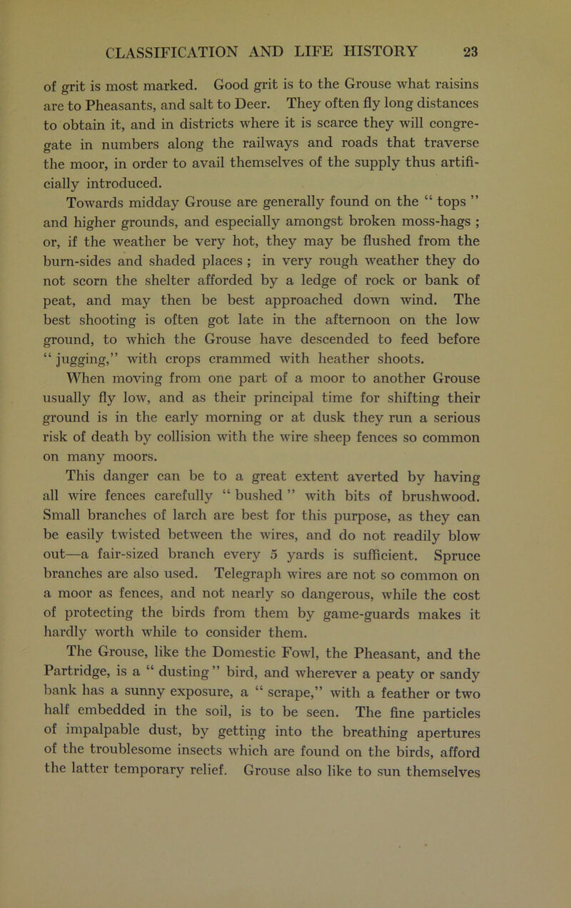 of grit is most marked. Good grit is to the Grouse what raisins are to Pheasants, and salt to Deer. They often fly long distances to obtain it, and in districts where it is scarce they will congre- gate in numbers along the railways and roads that traverse the moor, in order to avail themselves of the supply thus artifi- cially introduced. Towards midday Grouse are generally found on the “ tops ” and higher grounds, and especially amongst broken moss-hags ; or, if the weather be very hot, they may be flushed from the burn-sides and shaded places ; in very rough weather they do not scorn the shelter afforded by a ledge of rock or bank of peat, and may then be best approached down wind. The best shooting is often got late in the afternoon on the low ground, to which the Grouse have descended to feed before “ jugging,” with crops crammed with heather shoots. When moving from one part of a moor to another Grouse usually fly low, and as their principal time for shifting their ground is in the early morning or at dusk they run a serious risk of death by collision with the wire sheep fences so common on many moors. This danger can be to a great extent averted by having all wire fences carefully “ bushed ” with bits of brushwood. Small branches of larch are best for this purpose, as they can be easily twisted between the wires, and do not readily blow out—a fair-sized branch every 5 yards is sufficient. Spruce branches are also used. Telegraph wires are not so common on a moor as fences, and not nearly so dangerous, while the cost of protecting the birds from them by game-guards makes it hardly worth while to consider them. The Grouse, like the Domestic Fowl, the Pheasant, and the Partridge, is a “ dusting” bird, and wherever a peaty or sandy bank has a sunny exposure, a “ scrape,” with a feather or two half embedded in the soil, is to be seen. The fine particles of impalpable dust, by getting into the breathing apertures of the troublesome insects which are found on the birds, afford the latter temporary relief. Grouse also like to sun themselves