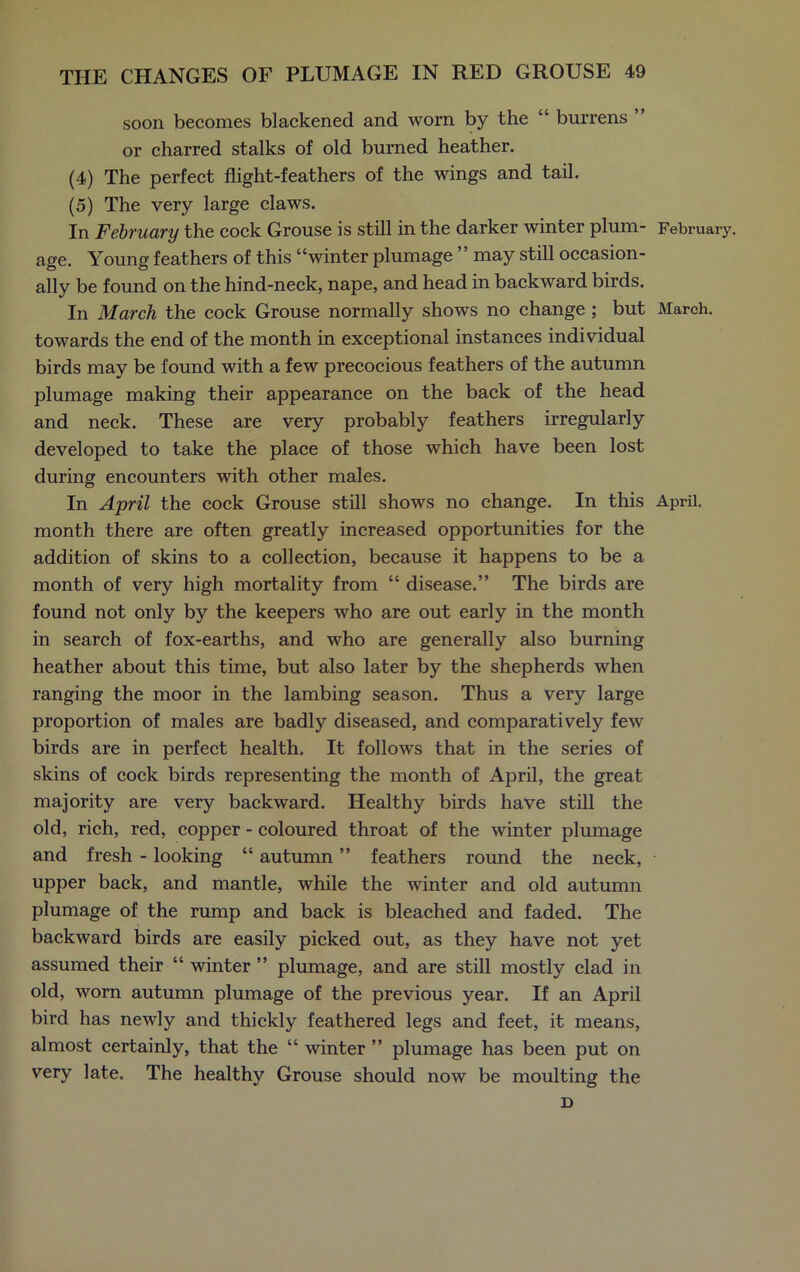 soon becomes blackened and worn by the “ burrens ” or charred stalks of old burned heather. (4) The perfect flight-feathers of the wings and tail. (5) The very large claws. In February the cock Grouse is still in the darker winter plum- February, age. Young feathers of this “winter plumage may still occasion- ally be found on the hind-neck, nape, and head in backward birds. In March the cock Grouse normally shows no change ; but March, towards the end of the month in exceptional instances individual birds may be found with a few precocious feathers of the autumn plumage making their appearance on the back of the head and neck. These are very probably feathers irregularly developed to take the place of those which have been lost during encounters with other males. In April the cock Grouse still shows no change. In this April, month there are often greatly increased opportunities for the addition of skins to a collection, because it happens to be a month of very high mortality from “ disease.” The birds are found not only by the keepers who are out early in the month in search of fox-earths, and who are generally also burning heather about this time, but also later by the shepherds when ranging the moor in the lambing season. Thus a very large proportion of males are badly diseased, and comparatively few birds are in perfect health. It follows that in the series of skins of cock birds representing the month of April, the great majority are very backward. Healthy birds have still the old, rich, red, copper - coloured throat of the winter plumage and fresh - looking “ autumn ” feathers round the neck, upper back, and mantle, while the winter and old autumn plumage of the rump and back is bleached and faded. The backward birds are easily picked out, as they have not yet assumed their “ winter ” plumage, and are still mostly clad in old, worn autumn plumage of the previous year. If an April bird has newly and thickly feathered legs and feet, it means, almost certainly, that the “ winter ” plumage has been put on very late. The healthy Grouse should now be moulting the D