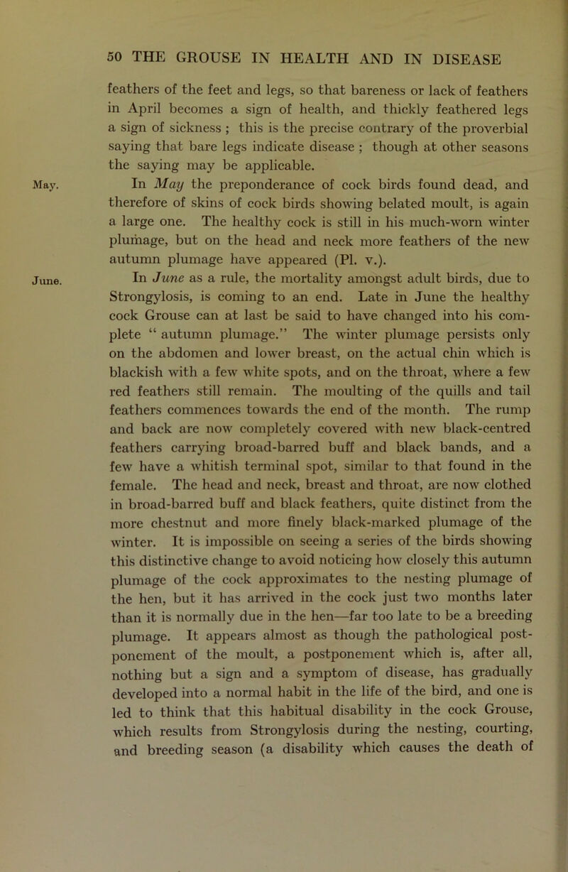 May. June. feathers of the feet and legs, so that bareness or lack of feathers in April becomes a sign of health, and thickly feathered legs a sign of sickness ; this is the precise contrary of the proverbial saying that bare legs indicate disease ; though at other seasons the saying may be applicable. In May the preponderance of cock birds found dead, and therefore of skins of cock birds showing belated moult, is again a large one. The healthy cock is still in his much-worn winter plumage, but on the head and neck more feathers of the new autumn plumage have appeared (PI. v.). In June as a rule, the mortality amongst adult birds, due to Strongylosis, is coming to an end. Late in June the healthy cock Grouse can at last be said to have changed into his com- plete “ autumn plumage.” The winter plumage persists only on the abdomen and lower breast, on the actual chin which is blackish with a few white spots, and on the throat, where a few red feathers still remain. The moulting of the quills and tail feathers commences towards the end of the month. The rump and back are now completely covered with new black-centred feathers carrying broad-barred buff and black bands, and a few have a whitish terminal spot, similar to that found in the female. The head and neck, breast and throat, are now clothed in broad-barred buff and black feathers, quite distinct from the more chestnut and more finely black-marked plumage of the winter. It is impossible on seeing a series of the birds showing this distinctive change to avoid noticing how closely this autumn plumage of the cock approximates to the nesting plumage of the hen, but it has arrived in the cock just two months later than it is normally due in the hen—far too late to be a breeding plumage. It appears almost as though the pathological post- ponement of the moult, a postponement which is, after all, nothing but a sign and a symptom of disease, has gradually developed into a normal habit in the life of the bird, and one is led to think that this habitual disability in the cock Grouse, which results from Strongylosis during the nesting, courting, and breeding season (a disability which causes the death of