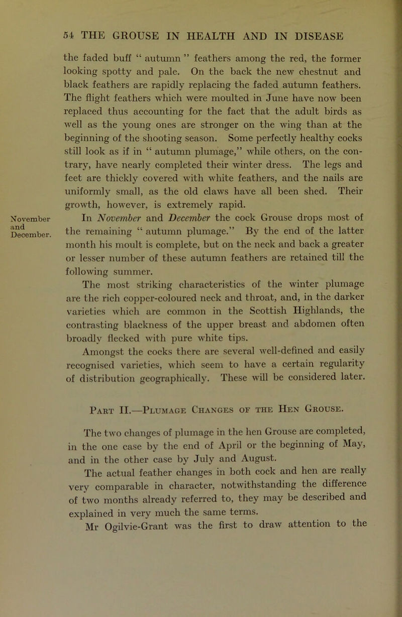 November and December. the faded buff “ autumn ” feathers among the red, the former looking spotty and pale. On the back the new chestnut and black feathers are rapidly replacing the faded autumn feathers. The flight feathers which were moulted in June have now been replaced thus accounting for the fact that the adult birds as well as the young ones are stronger on the wing than at the beginning of the shooting season. Some perfectly healthy cocks still look as if in “ autumn plumage,” while others, on the con- trary, have nearly completed their winter dress. The legs and feet are thickly covered with white feathers, and the nails are uniformly small, as the old claws have all been shed. Their growth, however, is extremely rapid. In November and December the cock Grouse drops most of the remaining “ autumn plumage.” By the end of the latter month his moult is complete, but on the neck and back a greater or lesser number of these autumn feathers are retained till the following summer. The most striking characteristics of the winter plumage are the rich copper-coloured neck and throat, and, in the darker varieties which are common in the Scottish Highlands, the contrasting blackness of the upper breast and abdomen often broadly flecked with pure white tips. Amongst the cocks there are several well-defined and easily recognised varieties, which seem to have a certain regularity of distribution geographically. These will be considered later. Part II.—Plumage Changes of the Hen Grouse. The two changes of plumage in the hen Grouse are completed, in the one case by the end of April or the beginning of May, and in the other case by July and August. The actual feather changes in both cock and hen are really very comparable in character, notwithstanding the diffeience of two months already referred to, they may be described and explained in very much the same terms. Mr Oilvie-Grant was the first to draw attention to the