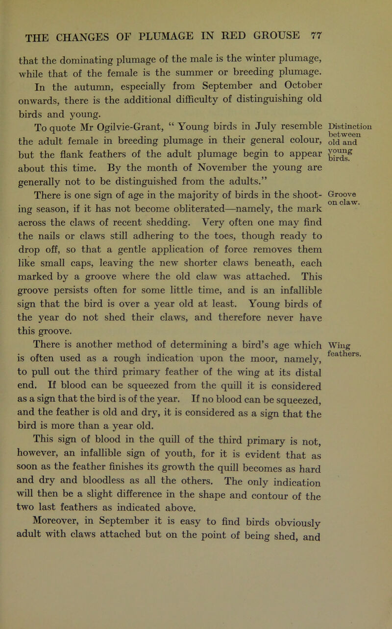 that the dominating plumage of the male is the winter plumage, while that of the female is the summer or breeding plumage. In the autumn, especially from September and October onwards, there is the additional difficulty of distinguishing old birds and young. To quote Mr Ogilvie-Grant, “ Young birds in July resemble the adult female in breeding plumage in their general colour, but the flank feathers of the adult plumage begin to appear about this time. By the month of November the young are generally not to be distinguished from the adults.” There is one sign of age in the majority of birds in the shoot- ing season, if it has not become obliterated—namely, the mark across the claws of recent shedding. Very often one may find the nails or claws still adhering to the toes, though ready to drop off, so that a gentle application of force removes them like small caps, leaving the new shorter claws beneath, each marked by a groove where the old claw was attached. This groove persists often for some little time, and is an infallible sign that the bird is over a year old at least. Young birds of the year do not shed their claws, and therefore never have this groove. There is another method of determining a bird’s age which is often used as a rough indication upon the moor, namely, to pull out the third primary feather of the wing at its distal end. If blood can be squeezed from the quill it is considered as a sign that the bird is of the year. If no blood can be squeezed, and the feather is old and dry, it is considered as a sign that the bird is more than a year old. This sign of blood in the quill of the third primary is not, however, an infallible sign of youth, for it is evident that as soon as the feather finishes its growth the quill becomes as hard and dry and bloodless as all the others. The only indication will then be a slight difference in the shape and contour of the two last feathers as indicated above. Moreover, in September it is easy to find birds obviously adult with claws attached but on the point of being shed, and Distinction between old and young birds. Groove on claw. Wing feathers.