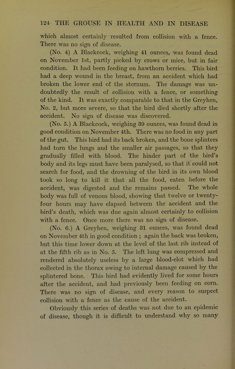 which almost certainly resulted from collision with a fence. There was no sign of disease. (No. 4) A Blackcock, weighing 41 ounces, was found dead on November 1st, partly picked by crows or mice, but in fair condition. It had been feeding on hawthorn berries. This bird had a deep wound in the breast, from an accident which had broken the lower end of the sternum. The damage was un- doubtedly the result of collision with a fence, or something of the kind. It was exactly comparable to that in the Greyhen, No. 2, but more severe, so that the bird died shortly after the accident. No sign of disease was discovered. (No. 5.) A Blackcock, weighing 39 ounces, was found dead in good condition on November 4th. There was no food in any part of the gut. This bird had its back broken, and the bone splinters had torn the lungs and the smaller air passages, so that they gradually filled with blood. The hinder part of the bird’s body and its legs must have been paralysed, so that it could not search for food, and the drowning of the bird in its own blood took so long to kill it that all the food, eaten before the accident, was digested and the remains passed. The whole body was full of venous blood, showing that twelve or twenty- four hours may have elapsed between the accident and the bird’s death, which was due again almost certainly to collision with a fence. Once more there was no sign of disease. (No. 6.) A Greyhen, weighing 31 ounces, was found dead on November 4th in good condition ; again the back was broken, but this time lower down at the level of the last rib instead of at the fifth rib as in No. 5. The left lung was compressed and rendered absolutely useless by a large blood-clot which had collected in the thorax OAving to internal damage caused by the splintered bone. This bird had evidently lived for some hours after the accident, and had previously been feeding on corn. There was no sign of disease, and every reason to suspect collision \\rith a fence as the cause of the accident. Obviously this series of deaths was not due to an epidemic of disease, though it is difficult to understand why so many