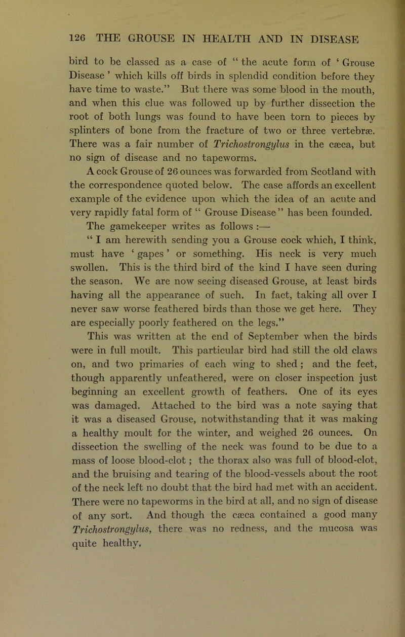 bird to be classed as a case of “ the acute form of * Grouse Disease ’ which kills off birds in splendid condition before they have time to waste.” But there was some blood in the mouth, and when this clue was followed up by further dissection the root of both lungs was found to have been torn to pieces by splinters of bone from the fracture of two or three vertebrae. There was a fair number of Trichostrongyliis in the caeca, but no sign of disease and no tapeworms. A cock Grouse of 26 ounces was forwarded from Scotland with the correspondence quoted below. The case affords an excellent example of the evidence upon which the idea of an acute and very rapidly fatal form of “ Grouse Disease” has been founded. The gamekeeper writes as follows :— “ I am herewith sending you a Grouse cock which, I think, must have ‘ gapes ’ or something. His neck is very much swollen. This is the third bird of the kind I have seen during the season. We are now seeing diseased Grouse, at least birds having all the appearance of such. In fact, taking all over I never saw worse feathered birds than those we get here. They are especially poorly feathered on the legs.” This was written at the end of September when the birds were in full moult. This particular bird had still the old claws on, and two primaries of each wing to shed ; and the feet, though apparently unfeathered, were on closer inspection just beginning an excellent growth of feathers. One of its eyes was damaged. Attached to the bird was a note saying that it was a diseased Grouse, notwithstanding that it was making a healthy moult for the Avinter, and Aveighed 26 ounces. On dissection the SAA'elling of the neck Avas found to be due to a mass of loose blood-clot; the thorax also AAras full of blood-clot, and the bruising and tearing of the blood-vessels about the root of the neck left no doubt that the bird had met Avith an accident. There Avere no tapeAvorms in the bird at all, and no sign of disease of any sort. And though the cteca contained a good many Trichostrongyliis, there Avas no redness, and the mucosa Avas quite healthy.