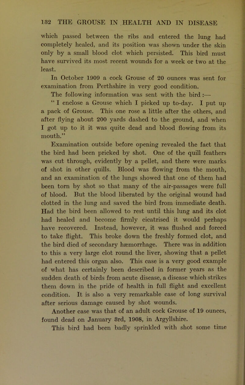which passed between the ribs and entered the lung had completely healed, and its position was shown under the skin only by a small blood clot which persisted. This bird must have survived its most recent wounds for a week or two at the least. In October 1909 a cock Grouse of 20 ounces was sent for examination from Perthshire in very good condition. The following information was sent with the bird :— “ I enclose a Grouse which I picked up to-day. I put up a pack of Grouse. This one rose a little after the others, and after flying about 200 yards dashed to the ground, and when I got up to it it was quite dead and blood flowing from its mouth.” Examination outside before opening revealed the fact that the bird had been pricked by shot. One of the quill feathers was cut through, evidently by a pellet, and there were marks of shot in other quills. Blood was flowing from the mouth, and an examination of the lungs showed that one of them had been torn by shot so that many of the air-passages were full of blood. But the blood liberated by the original wound had clotted in the lung and saved the bird from immediate death. Had the bird been allowed to rest until this lung and its clot had healed and become firmly cicatrised it would perhaps have recovered. Instead, however, it was flushed and forced to take flight. This broke down the freshly formed clot, and the bird died of secondary haemorrhage. There was in addition to this a very large clot round the liver, showing that a pellet had entered this organ also. This case is a very good example of what has certainly been described in former years as the sudden death of birds from acute disease, a disease which strikes them down in the pride of health in full flight and excellent condition. It is also a very remarkable case of long survival after serious damage caused by shot wounds. Another case was that of an adult cock Grouse of 19 ounces, found dead on January 3rd, 1908, in Argyllshire. This bird had been badly sprinkled with shot some time