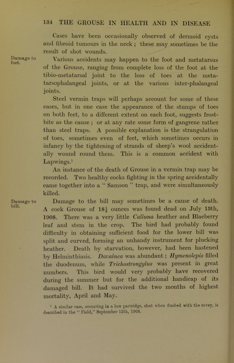Damage feet. Damage bill. Cases have been occasionally observed of dermoid cysts and fibroid tumours in the neck ; these may sometimes be the result of shot wounds. to Various accidents may happen to the foot and metatarsus of the Grouse, ranging from complete loss of the foot at the tibio-metatarsal joint to the loss of toes at the meta- tarsophalangeal joints, or at the various inter-phalangeal joints. Steel vermin traps will perhaps account for some of these cases, but in one case the appearance of the stumps of toes on both feet, to a different extent on each foot, suggests frost- bite as the cause ; or at any rate some form of gangrene rather than steel traps. A jiossible explanation is the strangulation of toes, sometimes even of feet, which sometimes occurs in infancy by the tightening of strands of sheep’s wool accident- ally wound round them. This is a common accident with Lapwings.1 An instance of the death of Grouse in a vermin trap may be recorded. Two healthy cocks fighting in the spring accidentally came together into a “ Samson ” trap, and were simultaneously killed. to Damage to the bill may sometimes be a cause of death. A cock Grouse of 181 ounces was found dead on July 13th, 1908. There was a very little Calluna heather and Blaeberry leaf and stem in the crop. The bird had probably found difficulty in obtaining sufficient food for the lower bill was split and curved, forming an unhandy instrument for plucking heather. Death by starvation, however, had been hastened by Helminthiasis. Davainea was abundant; Hymenolepis filled the duodenum, while Trichostrongylus was present in great numbers. This bird Avould very probably have recovered during the summer but for the additional handicap of its damaged bill. It had survived the two months of highest mortality, April and May. 1 A similar case, occurring in a hen partridge, shot when flushed with the covey, is described in the “ Field,” September 12th, 1908.