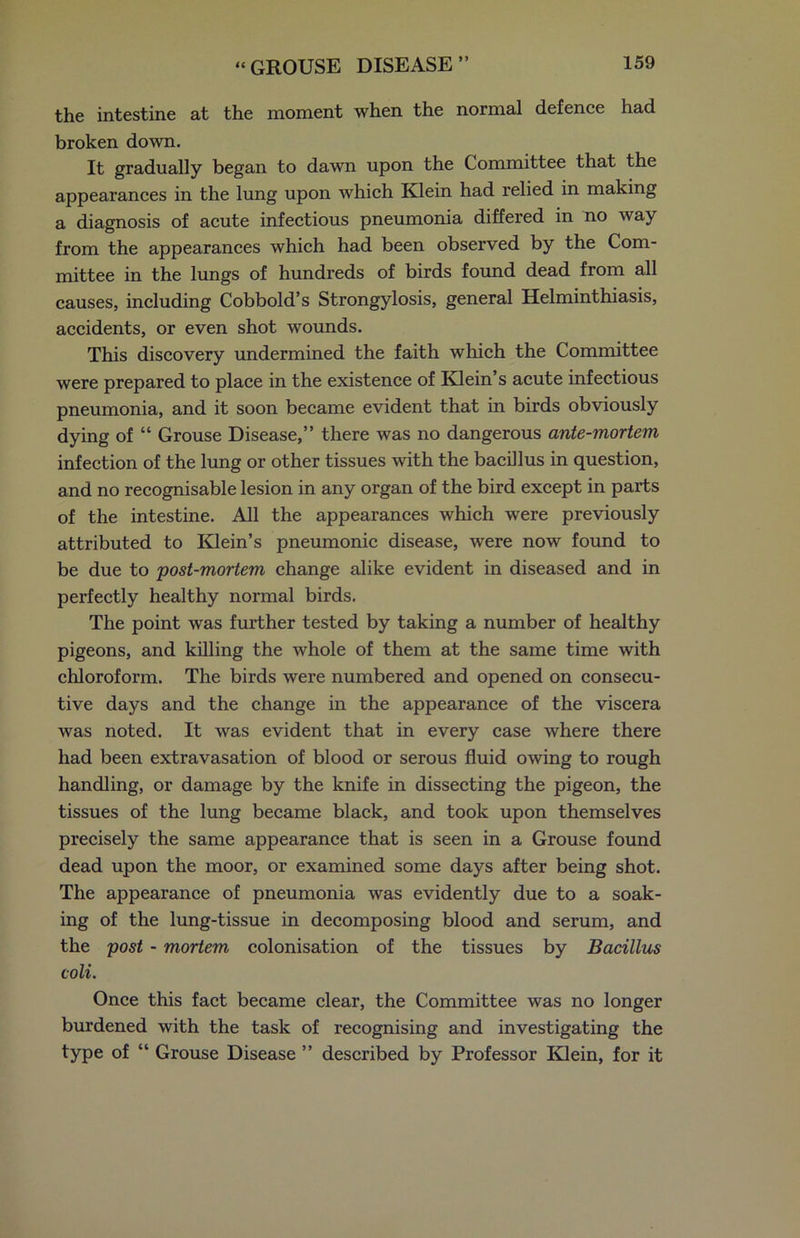 the intestine at the moment when the normal defence had broken down. It gradually began to dawn upon the Committee that the appearances in the lung upon which Klein had relied in making a diagnosis of acute infectious pneumonia differed in no way from the appearances which had been observed by the Com- mittee in the lungs of hundreds of birds found dead from all causes, including Cobbold’s Strongylosis, general Helminthiasis, accidents, or even shot wounds. This discovery undermined the faith which the Committee were prepared to place in the existence of Klein’s acute infectious pneumonia, and it soon became evident that in birds obviously dying of “ Grouse Disease,” there was no dangerous ante-mortem infection of the lung or other tissues with the bacillus in question, and no recognisable lesion in any organ of the bird except in parts of the intestine. All the appearances which were previously attributed to Klein’s pneumonic disease, were now found to be due to post-mortem change alike evident in diseased and in perfectly healthy normal birds. The point was further tested by taking a number of healthy pigeons, and killing the whole of them at the same time with chloroform. The birds were numbered and opened on consecu- tive days and the change in the appearance of the viscera was noted. It was evident that in every case where there had been extravasation of blood or serous fluid owing to rough handling, or damage by the knife in dissecting the pigeon, the tissues of the lung became black, and took upon themselves precisely the same appearance that is seen in a Grouse found dead upon the moor, or examined some days after being shot. The appearance of pneumonia was evidently due to a soak- ing of the lung-tissue in decomposing blood and serum, and the post - mortem colonisation of the tissues by Bacillus coli. Once this fact became clear, the Committee was no longer burdened with the task of recognising and investigating the type of “ Grouse Disease ” described by Professor Klein, for it