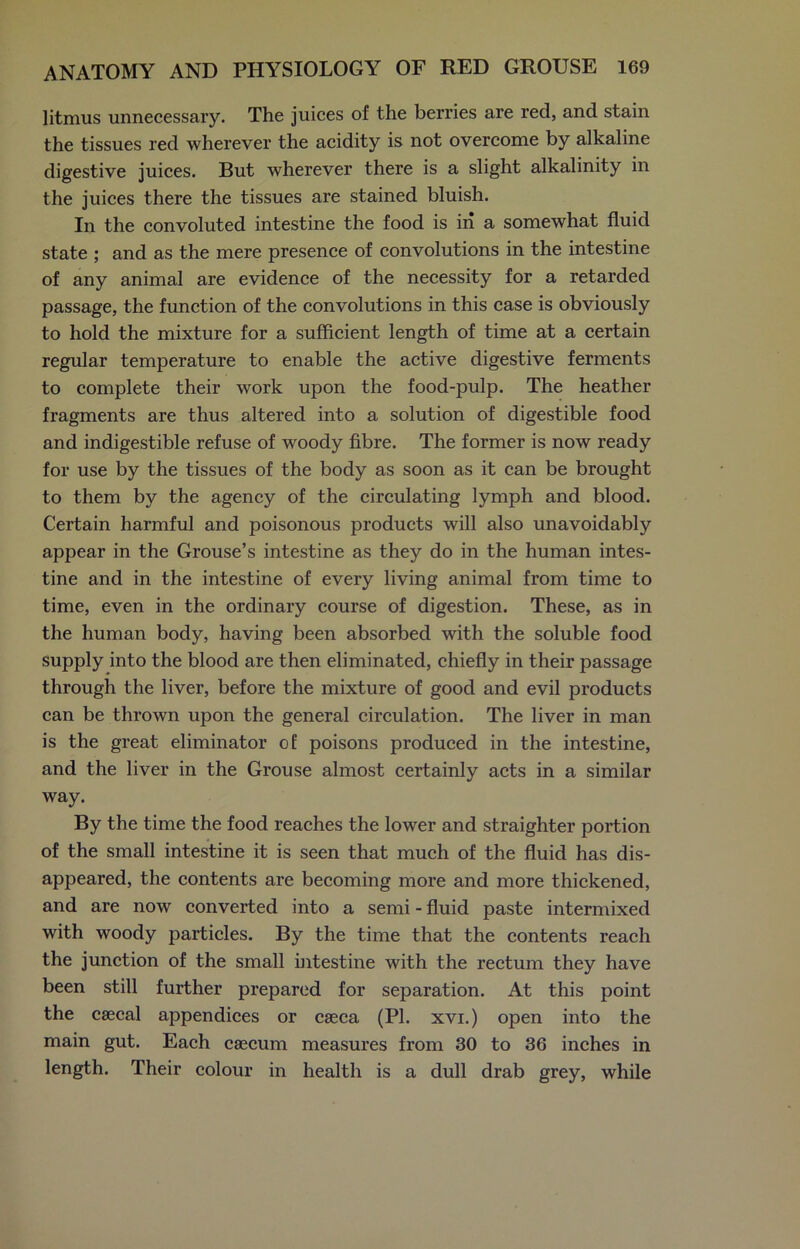 litmus unnecessary. The juices of the berries are red, and stain the tissues red wherever the acidity is not overcome by alkaline digestive juices. But wherever there is a slight alkalinity in the juices there the tissues are stained bluish. In the convoluted intestine the food is in a somewhat fluid state ; and as the mere presence of convolutions in the intestine of any animal are evidence of the necessity for a retarded passage, the function of the convolutions in this case is obviously to hold the mixture for a sufficient length of time at a certain regular temperature to enable the active digestive ferments to complete their work upon the food-pulp. The heather fragments are thus altered into a solution of digestible food and indigestible refuse of woody fibre. The former is now ready for use by the tissues of the body as soon as it can be brought to them by the agency of the circulating lymph and blood. Certain harmful and poisonous products will also unavoidably appear in the Grouse’s intestine as they do in the human intes- tine and in the intestine of every living animal from time to time, even in the ordinary course of digestion. These, as in the human body, having been absorbed with the soluble food supply into the blood are then eliminated, chiefly in their passage through the liver, before the mixture of good and evil products can be thrown upon the general circulation. The liver in man is the great eliminator of poisons produced in the intestine, and the liver in the Grouse almost certainly acts in a similar way. By the time the food reaches the lower and straighter portion of the small intestine it is seen that much of the fluid has dis- appeared, the contents are becoming more and more thickened, and are now converted into a semi - fluid paste intermixed with woody particles. By the time that the contents reach the junction of the small intestine with the rectum they have been still further prepared for separation. At this point the caecal appendices or caeca (PI. xvi.) open into the main gut. Each caecum measures from 30 to 36 inches in length. Their colour in health is a dull drab grey, while
