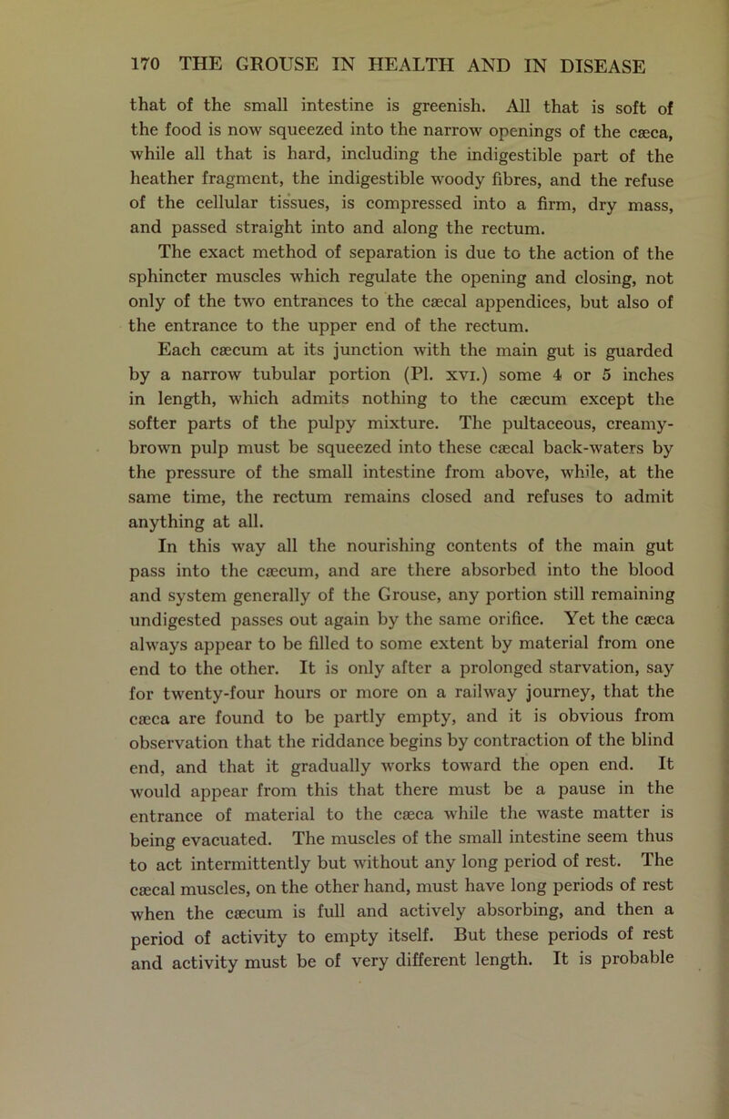 that of the small intestine is greenish. All that is soft of the food is now squeezed into the narrow openings of the caeca, while all that is hard, including the indigestible part of the heather fragment, the indigestible woody fibres, and the refuse of the cellular tissues, is compressed into a firm, dry mass, and passed straight into and along the rectum. The exact method of separation is due to the action of the sphincter muscles which regulate the opening and closing, not only of the two entrances to the caecal appendices, but also of the entrance to the upper end of the rectum. Each caecum at its junction with the main gut is guarded by a narrow tubular portion (PI. xvi.) some 4 or 5 inches in length, which admits nothing to the caecum except the softer parts of the pulpy mixture. The pultaceous, creamy- brown pulp must be squeezed into these caecal back-waters by the pressure of the small intestine from above, while, at the same time, the rectum remains closed and refuses to admit anything at all. In this way all the nourishing contents of the main gut pass into the caecum, and are there absorbed into the blood and system generally of the Grouse, any portion still remaining undigested passes out again by the same orifice. Yet the caeca always appear to be filled to some extent by material from one end to the other. It is only after a prolonged starvation, say for twenty-four hours or more on a railway journey, that the caeca are found to be partly empty, and it is obvious from observation that the riddance begins by contraction of the blind end, and that it gradually works toward the open end. It would appear from this that there must be a pause in the entrance of material to the caeca while the waste matter is being evacuated. The muscles of the small intestine seem thus to act intermittently but without any long period of rest. The caecal muscles, on the other hand, must have long periods of rest when the caecum is full and actively absorbing, and then a period of activity to empty itself. But these periods of rest and activity must be of very different length. It is probable