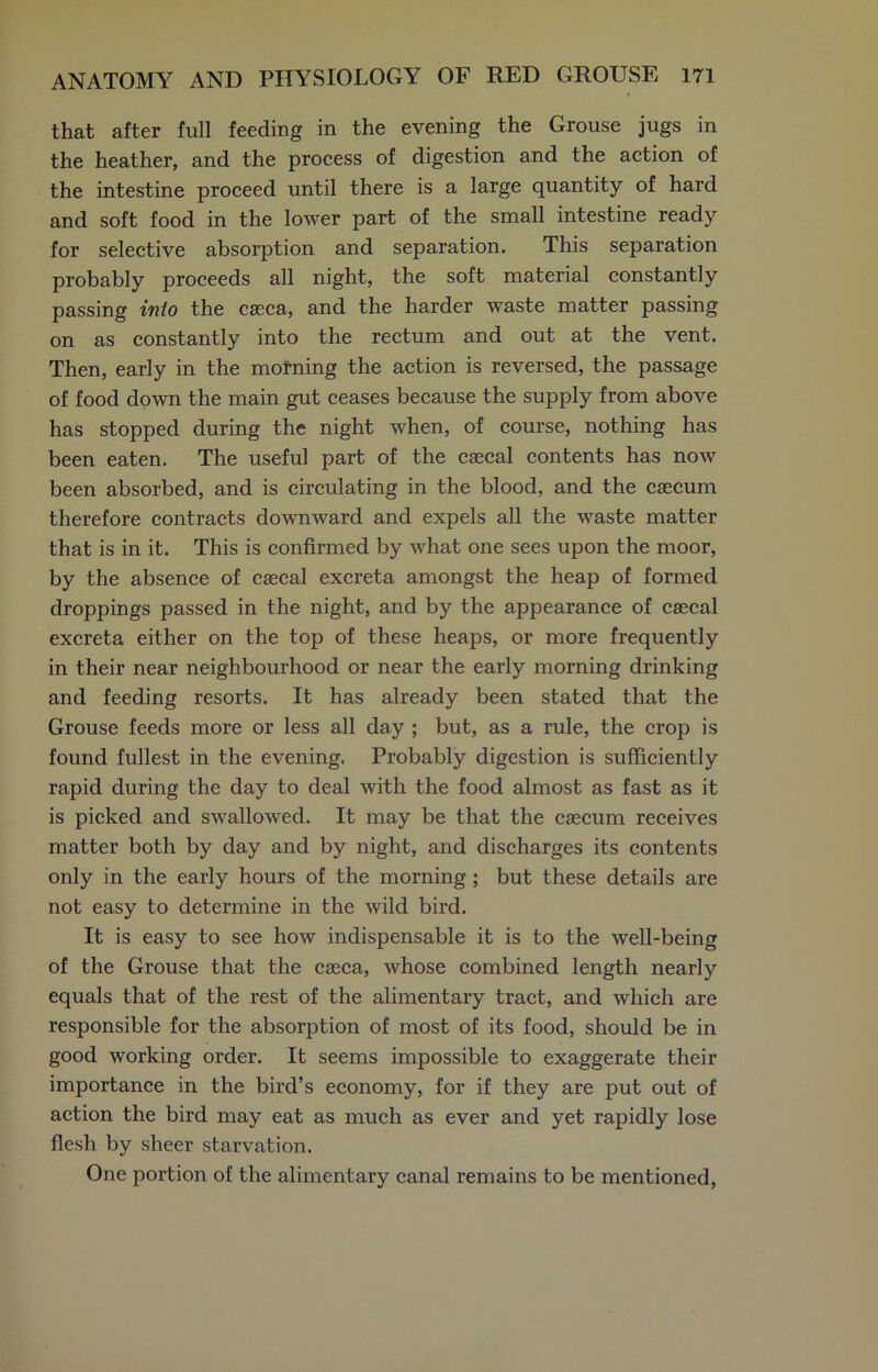 that after full feeding in the evening the Grouse jugs in the heather, and the process of digestion and the action of the intestine proceed until there is a large quantity of hard and soft food in the lower part of the small intestine ready for selective absorption and separation. This separation probably proceeds all night, the soft material constantly passing into the caeca, and the harder waste matter passing on as constantly into the rectum and out at the vent. Then, early in the morning the action is reversed, the passage of food down the main gut ceases because the supply from above has stopped during the night when, of course, nothing has been eaten. The useful part of the caecal contents has now been absorbed, and is circulating in the blood, and the caecum therefore contracts downward and expels all the waste matter that is in it. This is confirmed by what one sees upon the moor, by the absence of caecal excreta amongst the heap of formed droppings passed in the night, and by the appearance of caecal excreta either on the top of these heaps, or more frequently in their near neighbourhood or near the early morning drinking and feeding resorts. It has already been stated that the Grouse feeds more or less all day ; but, as a rule, the crop is found fullest in the evening. Probably digestion is sufficiently rapid during the day to deal with the food almost as fast as it is picked and swallowed. It may be that the caecum receives matter both by day and by night, and discharges its contents only in the early hours of the morning; but these details are not easy to determine in the wild bird. It is easy to see how indispensable it is to the well-being of the Grouse that the caeca, whose combined length nearly equals that of the rest of the alimentary tract, and which are responsible for the absorption of most of its food, should be in good working order. It seems impossible to exaggerate their importance in the bird’s economy, for if they are put out of action the bird may eat as much as ever and yet rapidly lose flesh by sheer starvation. One portion of the alimentary canal remains to be mentioned,