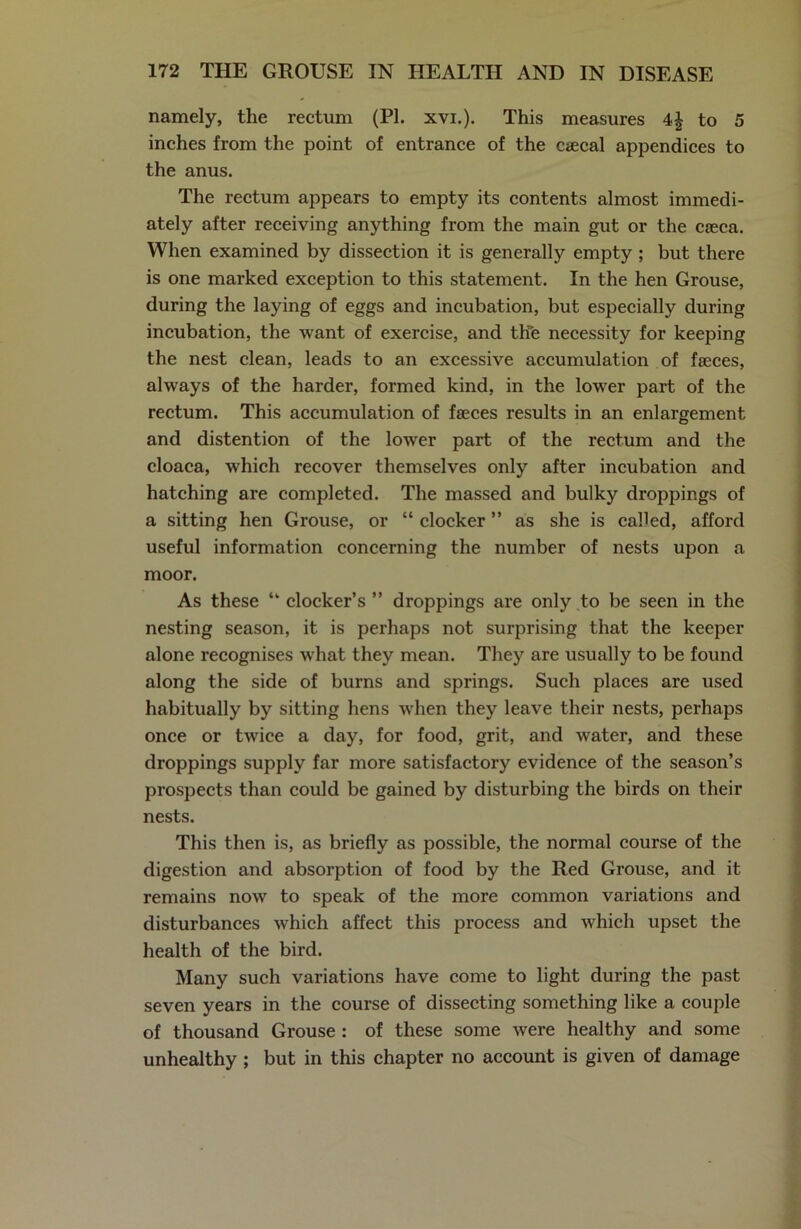 namely, the rectum (PL xvi.). This measures 4| to 5 inches from the point of entrance of the ctecal appendices to the anus. The rectum appears to empty its contents almost immedi- ately after receiving anything from the main gut or the caeca. When examined by dissection it is generally empty ; but there is one marked exception to this statement. In the hen Grouse, during the laying of eggs and incubation, but especially during incubation, the want of exercise, and thfe necessity for keeping the nest clean, leads to an excessive accumulation of faeces, always of the harder, formed kind, in the lower part of the rectum. This accumulation of faeces results in an enlargement and distention of the lower part of the rectum and the cloaca, which recover themselves only after incubation and hatching are completed. The massed and bulky droppings of a sitting hen Grouse, or “ clocker ” as she is called, afford useful information concerning the number of nests upon a moor. As these “ docker’s ” droppings are only to be seen in the nesting season, it is perhaps not surprising that the keeper alone recognises what they mean. They are usually to be found along the side of burns and springs. Such places are used habitually by sitting hens when they leave their nests, perhaps once or twice a day, for food, grit, and water, and these droppings supply far more satisfactory evidence of the season’s prospects than could be gained by disturbing the birds on their nests. This then is, as briefly as possible, the normal course of the digestion and absorption of food by the Red Grouse, and it remains now to speak of the more common variations and disturbances which affect this process and which upset the health of the bird. Many such variations have come to light during the past seven years in the course of dissecting something like a couple of thousand Grouse : of these some were healthy and some unhealthy; but in this chapter no account is given of damage