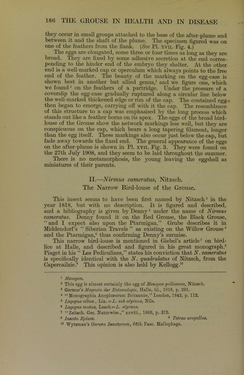 they occur in small groups attached to the base of the after-plume and between it and the shaft of the plume. The specimen figured was on one of the feathers from the flank. (See PI. xvn. Fig. 4.) The eggs are elongated, some three or four times as long as they are broad. They are fixed by some adhesive secretion at the end corres- ponding to the hinder end of the embryo they shelter. At the other end is a well-marked cap or operculum which always points to the free end of the feather. The beauty of the marking on the egg-case is shown best in another but allied genus,1 2 and we figure one, which we found - on the feathers of a partridge. Under the pressure of a coverslip the egg-case gradually ruptured along a circular line below the well-marked thickened edge or rim of the cap. The contained egg • then began to emerge, carrying off with it the cap. The resemblance of this structure to a cap was emphasised by the long process which stands out like a feather borne on its apex. The eggs of the broad bird- louse of the Grouse show the network markings less well, but they are conspicuous on the cap, which bears a long tapering filament, longer than the egg itself. These markings also occur just below the cap, but fade away towards the fixed end. The general appearance of the eggs on the after-plume is shown in PI. xvn. Fig. 3. They were found on the 27th July 1908, and they seem to be laid throughout the summer. There is no metamorphosis, the young leaving the eggshell as miniatures of their parents. II.—Nirmus cameratus, Nitzsch. The Narrow Bird-louse of the Grouse. This bisect seems to have been first named by Nitzsch3 4 in the year 1818, but with no description. It is figured and described, and a bibliography is given by Denny 1 under the name of Nirmus cameratus. Denny found it on the Red Grouse, the Black Grouse, “ and I expect also upon the Ptarmigan.” Grube describes it in Middendorf’s “ Siberian Travels ” as existing on the Willow Grouse5 6 and the Ptarmigan,® thus confirming Denny’s surmise. This narrow bird-louse is mentioned in Giebel’s article7 on bird- lice at Halle, and described and figured in his great monograph.8 Piaget in his “ Les Pediculines,” states his conviction that N. cameratus is specifically identical with the N. quadrulatus of Nitzsch, from the Capercailzie.® This opinion is also held by Kellogg.10 1 Menopon. 2 This egg is almost certainly the egg of Menopon pallescens, Nitzsch. 3 Germar’s Magazin der Entomologic, Halle, iii., 1818, p. 291. 4 “Monographia Anoplurorum Britannia;,” London, 1842, p. 112. 6 Lagopus albus., Lin. =L. sub alpinus, Nils. 6 Lagopus mutus, Leach = L. alpinus. 7 Zeitsch. Ges. Naturwiss.,” xxviii., 1866, p. 370. 8 Insecta Epizoa. 9 Tetrao urogallus. 10 Wytsman’s Gerura Inseclorum, 66th Fasc. Mallophaga.