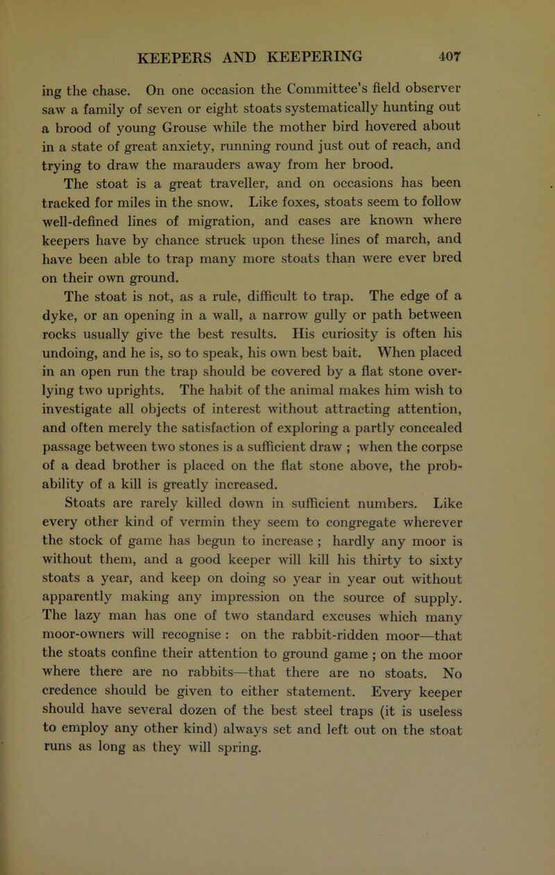 ing the chase. On one occasion the Committee’s field observer saw a family of seven or eight stoats systematically hunting out a brood of young Grouse while the mother bird hovered about in a state of great anxiety, running round just out of reach, and trying to draw the marauders away from her brood. The stoat is a great traveller, and on occasions has been tracked for miles in the snow. Like foxes, stoats seem to follow well-defined lines of migration, and cases are known where keepers have by chance struck upon these lines of march, and have been able to trap many more stoats than were ever bred on their own ground. The stoat is not, as a rule, difficult to trap. The edge of a dyke, or an opening in a wall, a narrow gully or path between rocks usually give the best results. His curiosity is often his undoing, and he is, so to speak, his own best bait. When placed in an open run the trap should be covered by a flat stone over- lying two uprights. The habit of the animal makes him wish to investigate all objects of interest without attracting attention, and often merely the satisfaction of exploring a partly concealed passage between two stones is a sufficient draw ; when the corpse of a dead brother is placed on the flat stone above, the prob- ability of a kill is greatly increased. Stoats are rarely killed down in sufficient numbers. Like every other kind of vermin they seem to congregate wherever the stock of game has begun to increase ; hardly any moor is without them, and a good keeper will kill his thirty to sixty stoats a year, and keep on doing so year in year out without apparently making any impression on the source of supply. The lazy man has one of two standard excuses which many moor-owners will recognise : on the rabbit-ridden moor—that the stoats confine their attention to ground game ; on the moor where there are no rabbits—that there are no stoats. No credence should be given to either statement. Every keeper should have several dozen of the best steel traps (it is useless to employ any other kind) always set and left out on the stoat runs as long as they will spring.