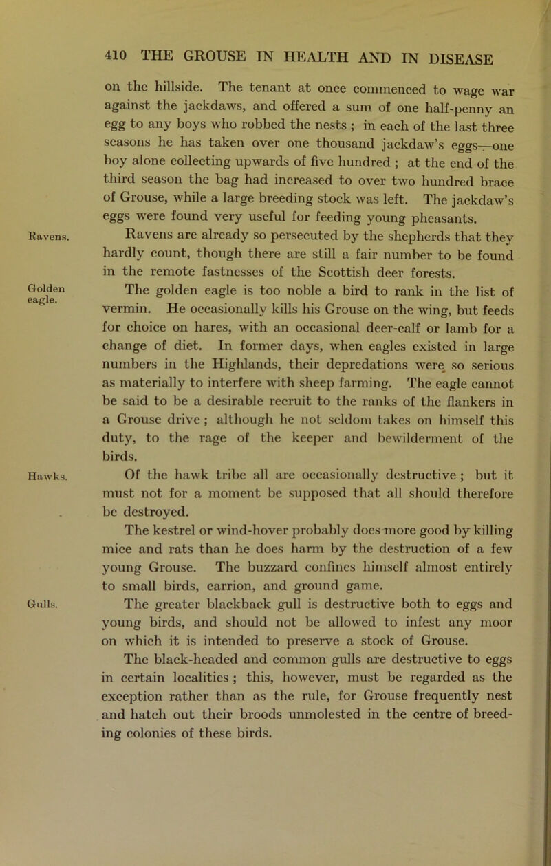 Ravens. Golden eagle. Hawks. Gulls. on the hillside. The tenant at once commenced to wage war against the jackdaws, and offered a sum of one half-penny an egg to any boys who robbed the nests ; in each of the last three seasons he has taken over one thousand jackdaw’s eggs—one boy alone collecting upwards of five hundred ; at the end of the third season the bag had increased to over two hundred brace of Grouse, while a large breeding stock was left. The jackdaw’s eggs were found very useful for feeding young pheasants. Ravens are already so persecuted by the shepherds that they hardly count, though there are still a fair number to be found in the remote fastnesses of the Scottish deer forests. The golden eagle is too noble a bird to rank in the list of vermin. He occasionally kills his Grouse on the wing, but feeds for choice on hares, with an occasional deer-calf or lamb for a change of diet. In former days, when eagles existed in large numbers in the Highlands, their depredations were so serious as materially to interfere with sheep farming. The eagle cannot be said to be a desirable recruit to the ranks of the flankers in a Grouse drive ; although he not seldom takes on himself this duty, to the rage of the keeper and bewilderment of the birds. Of the hawk tribe all are occasionally destructive ; but it must not for a moment be supposed that all should therefore be destroyed. The kestrel or wind-hover probably does more good by killing mice and rats than he does harm by the destruction of a few young Grouse. The buzzard confines himself almost entirely to small birds, carrion, and ground game. The greater blackback gull is destructive both to eggs and young birds, and should not be allowed to infest any moor on which it is intended to preserve a stock of Grouse. The black-headed and common gulls are destructive to eggs in certain localities ; this, however, must be regarded as the exception rather than as the rule, for Grouse frequently nest and hatch out their broods unmolested in the centre of breed- ing colonies of these birds.