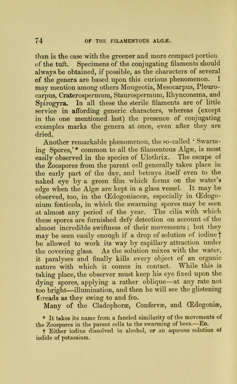 than is the case with the greener and more compact portion of the tuft. Specimens of the conjugating filaments should always be obtained, if possible, as the characters of several of the genera are based upon this curious phenomenon. I may mention among others Moiigeotia, Mesocarpus, Pleuro- carpus, Craterospermum, Staurospermum, Rhynconema, and Spirogyra. In all these the sterile filaments are of little service in affording generic characters, whereas (except in the one mentioned last) the presence of conjugating examples marks the genera at once, even after they are dried. Another remarkable phenomenon, the so-called * Swarm- ing Spores,’* common to all the filamentous Algae, is most easily observed in the species of Ulothrix. The escape of the Zoospores from the parent cell generally takes place in the early part of the day, and beti'ays itself even to the naked eye by a green film which forms on the ivater’s edge when the Algae are kept in a glass vessel. It rnay be observed, too, in the OEdogoniaceaj, especially in CEdogo- niuni fonticola, in which the swarming spores may be seen at almost any period of the year. The cilia with which these spores are furnished defy detection on account of the almost incredible swiftness of their movements; but they may be seen easily enough if a drop of solution of iodine j be allowed to work its way by capillary attraction under the covering glass. As the solution mixes with the water, it paralyses and finally kills every object of an organic nature with which it comes in contact. While this is taking place, the observer must keep his eye fixed upon the dying spores, applying a rather oblique—at any rate not too bright—illumination, and then he will see the glistening f I reads as they swing to and fro. Many of the Cladophorse, Confervje, and CEdogonite, * It takes its name from a fancied similarity of the movements of the Zoospores in the parent cells to the swarming of bees.—Ed. t Either iodine dissolved in alcohol, or an aqueous solution of iodide of potassium.