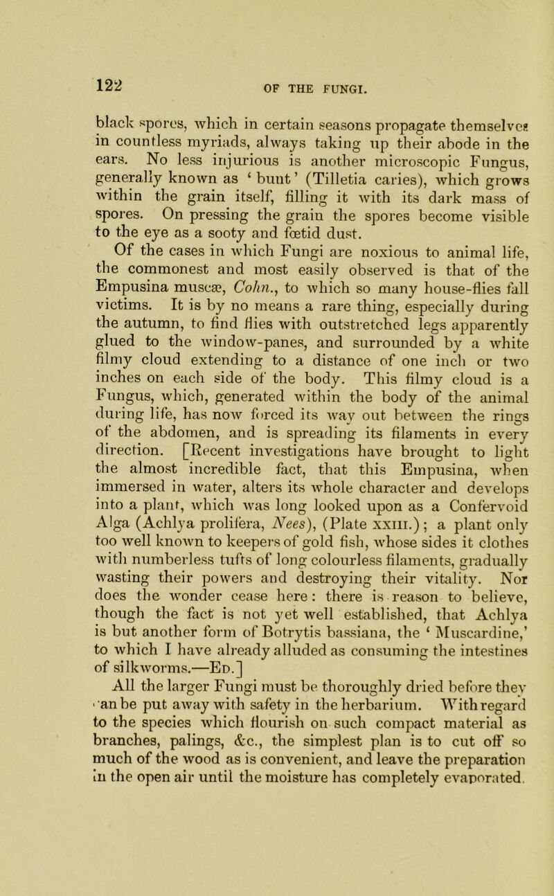 black spores, which in certain seasons propagate themselvei! in countless myriads, always taking up their abode in the ears. No le.ss injurious is another microscopic Fungus, generally known as ‘ bunt ’ (Tilletia caries), which grows within the grain itself, filling it with its dark mass of spores. On pressing the grain the spores become visible to the eye as a sooty and foetid du.st. Of the cases in which Fungi are noxious to animal life, the commonest and most easily observed is that of the Empusina musca?, Cohn., to which so many house-flies fall victims. It is by no means a rare thing, especially during the autumn, to find flies with outstretched legs apparently glued to the window-panes, and surrounded by a white filmy cloud extending to a distance of one inch or two inches on each side of the body. This filmy cloud is a Fungus, which, generated within the body of the animal during life, has now forced its way out between the rings of the abdomen, and is spreading its filaments in every direction. [Recent investigations have brought to light the almost incredible fact, that this Empusina, when immersed in water, alters its whole character and develops into a plant, which was long looked upon as a Confervoid Alga (Achlya prolifera, Nees), (Plate xxiii.); a plant only too well known to keepers of gold fish, whose sides it clothes with numberless tufts of long colourless filaments, gradually wasting their powers and destroying their vitality. Nor does the wonder cease here: there is reason to believe, though the fact is not yet welF established, that Achlya is but another form of Botrytis bassiana, the ‘ Muscardine,’ to which I have already alluded as consuming the intestines of silkworms.—Ed.] All the larger Fungi must be thoroughly dried before thev ■ an be put away with safety in the herbarium. With regard to the species which flourish on such compact material as branches, palings, &c., the simplest plan is to cut off so much of the wood as is convenient, and leave the preparation in the open air until the moisture has completely evaporated.