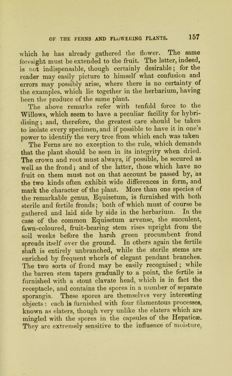 which he has already gathered the flower. The same foresight must be extended to the fruit. The latter, indeed, is not indispensable, though certainly desirable; for the reader may easily picture to himself what confusion and errors may possibly arise, where there is no certainty of the examples, which lie together in the herbarium, having been the produce of the same plant. Tlie above remarks refer with tenfold force to the Willows, which seem to have a peculiar facility for hybri- dising ; and, therefore, the greatest care should be taken to isolate every specimen, and if possible to have it in one’s power to identify the very tree from which each was taken The Ferns are no exception to the rule, which demands that the plant should be seen in its intep-ity when dried. The crown and root must always, if possible, be secured as well as the frond; and of the latter, those which have no fruit on them must not on that account be passed by, as the two kinds often exhibit wide differences in form, and mark the character of the plant. More than one species of the remarkable genus, Equisetum, is furnished with both sterile and fertile fronds; both of which must of course be gathered and laid side by side in the herbarium. In the case of the common Equisetum arvense, the succulent, fawn-coloured, fruit-bearing stem rises upright from the soil weeks before the harsh green procumbent frond spreads itself over the ground. In others again the fertile shaft is entirely unbranched, while the sterile stems are enriched by frequent whorls of elegant pendant branches. The two sorts of frond may be easily recognised; while the barren stem tapers gradually to a point, the fertile is furnished with a stout clavate head, which is in fact the receptacle, and contains the spores in a number of separate sporangia. These spores are themselves very interesting objects ; each is furnished with four filamentous proce.sses, known as elaters, though very unlike the elaters which are mingled with the spores in the capstiles of the Hepaticse. They are extremely sensitive to the influence of moi.stiire,