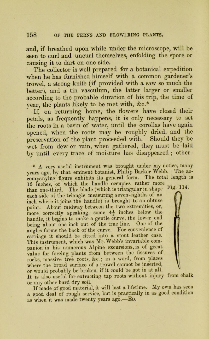 and, if breathed upon while under the microscope, will be seen to curl and uncurl themselves, enfolding the spore or causing it to dart on one side. The collector is well prepared for a botanical expedition when he has furnished himself with a common gardener’s trowel, a strong knife (if provided with a saw so much the better), and a tin vasculum, the latter larger or smaller according to the probable duration of his trip, the time of year, the plants likely to be met with, &c.* If, on returning home, the flowers have closed their petals, as frequently happens, it is only necessary to set the roots in a basin of water, until the corollas have again opened, when the roots may be roughly dried, and the preservation of the plant proceeded with. Should they be wet from dew or rain, when gathered, they must be laid by until every trace of moi,-.tu7'e has disappeared ; cther- * A very useful instrument was brought under my notice, many years ago, by that eminent botanist, Philip Barker Webb. The ac- companying figure exhibits its general form. The total length is 15 inches, of which the handle occupies rather more than one-third. The blade (which is triangular in shape each side of the triangle measuring seven-eighths of an inch where it joins the handle) is brought to an obtuse point. About midway between the two extremities, or, more correctly speaking, some inches below the handle, it begins to make a gentle curve, the lower end being about one inch out of the true line. One of the angles forms the back of the curve. For convenience of carriage it should be fitted into a stout leather case. This instrument, which was Mr. Webb’s invariable com- panion in his numerous Alpine excursions, is of great value for forcing plants from between the fissures of rocks, massive tree roots, &c.; in a word, from places where the broad surface of a trowel cannot be inserted, or would probably be broken, if it could be got in at all. It is also useful for extracting tap roots without injury from chalk or any other hard dry soil. If made of good material, it will last a lifetime. My own has seen a good deal of rough service, but is practically in as good condition as when it was made twenty years ago.—Ed.