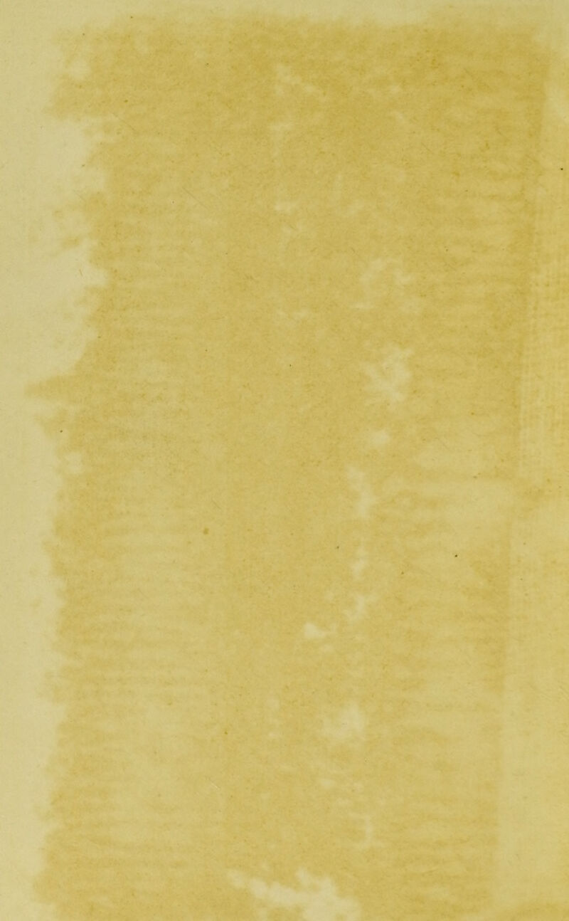 .4* ■' . ■ ^ V- % } •t* ■*» :i «