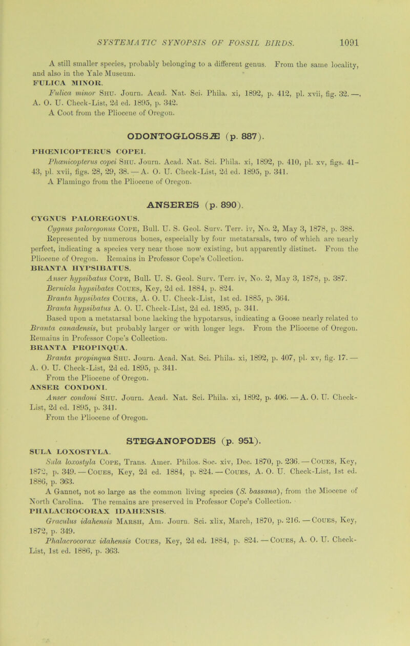 A still smaller species, probably belonging to a different genus. From the same locality, and also in the Yale Museum. FULICA MINOR. Fulica minor Shu. Journ. Acad. Nat. Sci. Phila. xi, 1892, p. 412, pi. xvii, fig. 32. —. A. 0. U. Check-List, 2d ed. 1895, p. 342. A Coot from the Pliocene of Oregon. ODONTOG-LOSS-33 (p. 887). PHOEXICOPTERUS COPEI. Phcenicopterus copei Shu. Journ. Acad. Nat. Sci. Phila. xi, 1892, p. 410, pi. xv, figs. 41- 43, pi. xvii, figs. 28, 29, 38.—A. 0. U. Check-List, 2d ed. 1895, p. 341. A Flamingo from the Pliocene of Oregon. ANSERES (p. 890). CYGNUS PALOREGONUS. Cygnus paloregonus Cope, Bull. U. S. Geol. Surv. Terr, iv, No. 2, May 3, 1878, p. 388. Represented by numerous bones, especially by four metatarsals, two of which are nearly perfect, indicating a species very near those now existing, but apparently distinct. From the Pliocene of Oregon. Remains in Professor Cope’s Collection. BRANTA HYPSIBATUS. Anser lujpsibatus Cope, Bull. U. S. Geol. Surv. Terr, iv, No. 2, May 3, 1878, p. 387. Bernicla hypsibates Coues, Key, 2d ed. 1884, p. 824. Branta hypsibates Coues, A. 0. U. Check-List, 1st ed. 1885, p. 364. Branta hypsibatus A. 0. U. Check-List, 2d ed. 1895, p. 341. Based upon a metatarsal bone lacking the hypotarsus, indicating a Goose nearly related to Branta canadensis, but probably larger or with longer legs. From the Pliocene of Oregon. Remains in Professor Cope’s Collection. BRANTA PROPINQUA. Branta propinqua Shu. Journ. Acad. Nat. Sci. Phila. xi, 1892, p. 407, pi. xv, fig. 17. — A. 0. U. Check-List, 2d ed. 1895, p. 341. From the Pliocene of Oregon. ANSER CONDOM. Anser condoni Shu. Journ. Acad. Nat. Sci. Phila. xi, 1892, p. 406.—A. 0. IT. Check- List, 2d ed. 1895, p. 341. From the Pliocene of Oregon. STEGANOPODES (p. 951). SULA LOXOSTYLA. Sula loxostyla Cope, Trans. Ainer. Philos. Soc. xiv, Dec. 1870, p. 236. — Coues, Key, 1872, p. 349.—Coues, Key, 2d ed. 1884, p. 824. — Coues, A. 0. U. Check-List, 1st ed. 1886, p. 363. A Gannet, not so large as the common living species (S. bassand), from the Miocene of North Carolina. The remains are preserved in Professor Cope’s Collection. P1IALACROCORAX IDAHENSIS. Gracidus idahensis Marsh, Am. Journ. Sci. xlix, March, 1870, p. 216.—Coues, Key, 1872, p. 349. Phalacrocorax idahensis Coues, Key, 2d ed. 1884, p. 824.—Coues, A. 0. U. Check- List, 1st ed. 1886, p. 363.