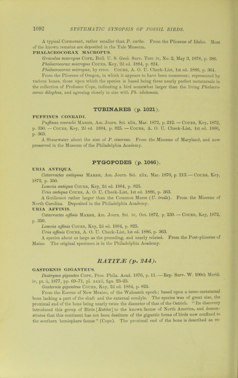 A typical Cormorant, rather smaller than P. carlo. From the Pliocene of Idaho. Most of the known remains are deposited in the Yale Museum. PHALAOROCORAX MACROPUS. Graculus macropus Cope, Bull. U. S. Geol. Surv. Terr, iv, No. 2, May i, 1878, p. 380. Phalacrocorax macropus Coues, Key, 2d ed. 1884, p. 824. Phalacrocorax micropus, by error. Coues, A. 0. U. Cheek-List, 1st ed. 1886, p. 364. From the Pliocene of Oregon, in which it appears to have been numerous; represented by various bones, those upon which the species is based being three nearly perfect metatarsals in the collection of Professor Cope, indicating a bird somewhat larger than the living Phalacro- corax dilophus, and agreeing closely in size with Ph. idahensis. TTJBINARES (p. 1021). PUFFINUS CONRADI. Puffinus conradii Marsh, Am. Journ. Sci. xlix, Mar. 1872, p. 212. —Coues, Key, 1872, p. 350. — Coues, Key, 2d ed. 1884, p. 825. — Coues, A. O. U. Check-List, 1st ed. 1886, p. 363. A Shearwater about the size of P. cinereus. From the Miocene of Maryland, and now preserved in the Museum of the Philadelphia Academy. PYG-OPODES (p. 1046). UR1A ANTIQUA. Catarractes antiquus Marsh, Am. Journ. Sci. xlix, Mar. 1870, p. 213.— Coues, Key, 1872, p. 350. Lomvia antiqua Coues, Key, 2d ed. 1884, p. 825. TJria antiqua Coues, A. 0. U. Check-List, 1st ed. 1886, p. 363. A Guillemot rather larger than the Common Murre (U. troile). From the Miocene of North Carolina. Deposited in the Philadelphia Academy. URIA AFFINIS. Catarractes affinis Marsh, Am. Journ. Sci. iv, Oct. 1872, p. 259. — Coues, Key, 1872, p. 350. Lomvia affinis Coues, Key, 2d ed. 1884, p. 825. Uria affinis Coues, A. O. U. Check-List, 1st ed. 1886, p. 363. A species about as large as the preceding, and nearly related. From the Post-pliocene of Maine. The original specimen is in the Philadelphia Academy. HATITJE (p. 244). GASTORMS GIGANTEUS. Diatryma gigantea Cope, Proc. Phila. Acad. 1876, p. 11.—Rep. Surv. W. 100th Merid. iv, pt. ii, 1877, pp. 69-71, pi. xxxii, figs. 23-25. Gastornis giganteus Coues, Key, 2d ed. 1884, p. 825. From the Eocene of New Mexico, of the Wahsatch epoch; based upon a tarso-metatarsal bone lacking a part of the shaft and the external condyle. The species was of great size, the proximal end of the bone being nearly twice the diameter of that of the Ostrich. “ Its discovery introduced this group of Birds [Idatitce] to the known faunae of North America, and demon- strates that this continent has not been destitute of the gigantic forms of birds now eoufincd to the southern hemisphere faunae ” (Cope). The proximal end of the bone is described as re-