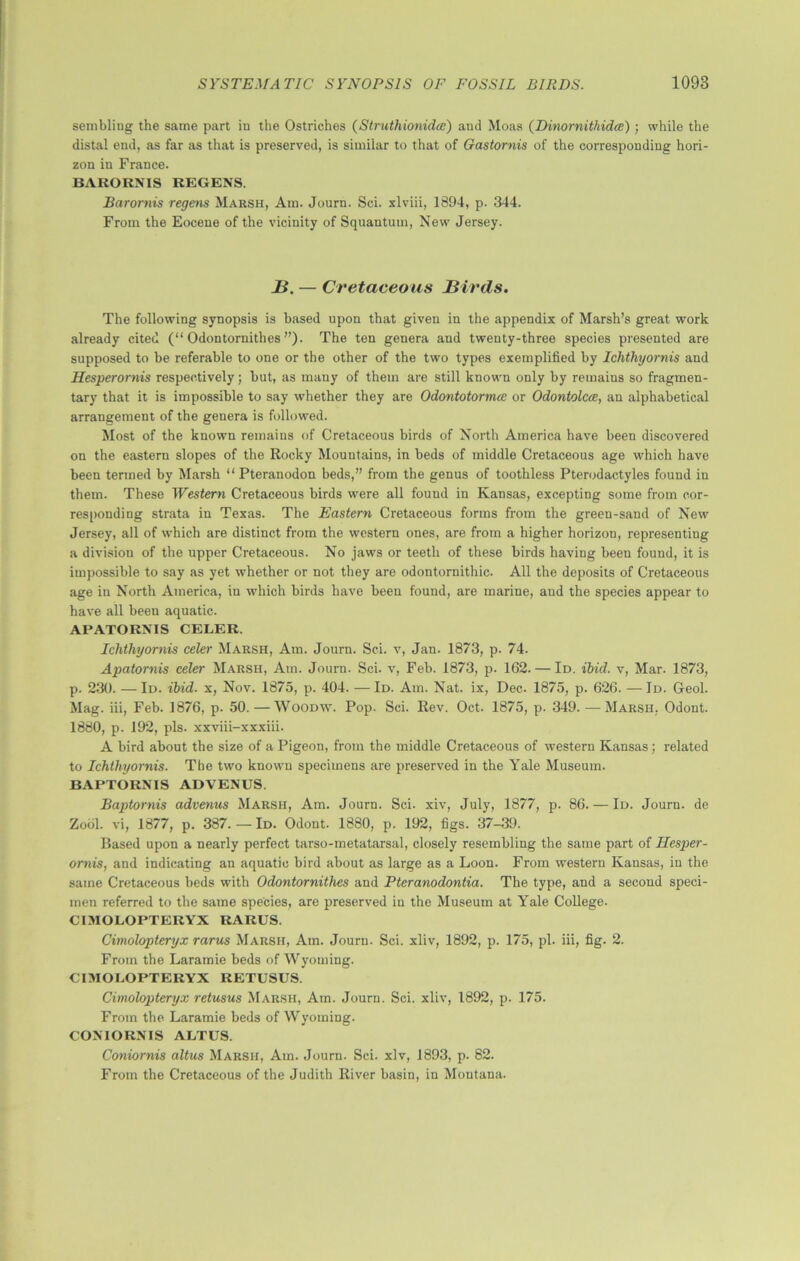 sembling the same part in the Ostriches (Struthionidce) and Moas (Dinornithidce); while the distal end, as far as that is preserved, is similar to that of Gastornis of the corresponding hori- zon in France. BARORNIS REGENS. Barornis regens Marsh, Am. Journ. Sci. xlviii, 1894, p. 344. From the Eocene of the vicinity of Squantum, New Jersey. B. — Cretaceous Birds. The following synopsis is based upon that given in the appendix of Marsh’s great work already cited (“ Odontornithes ”). The ten genera and twenty-three species presented are supposed to be referable to one or the other of the two types exemplified by Ichthyornis and Hesperornis respectively; but, as many of them are still known only by remains so fragmen- tary that it is impossible to say whether they are Odontotormce or Odontolcce, an alphabetical arrangement of the genera is followed. Most of the known remains of Cretaceous birds of North America have been discovered on the eastern slopes of the Rocky Mountains, in beds of middle Cretaceous age which have been termed by Marsh “Pteranodon beds,” from the genus of toothless Pterodactyles found in them. These Western Cretaceous birds were all found in Kansas, excepting some from cor- responding strata in Texas. The Eastern Cretaceous forms from the green-sand of New Jersey, all of which are distinct from the western ones, are from a higher horizon, representing a division of the upper Cretaceous. No jaws or teeth of these birds having been found, it is impossible to say as yet whether or not they are odontornithic. All the deposits of Cretaceous age in North America, in which birds have been found, are marine, and the species appear to have all been aquatic. APATORNIS CELER. Ichthyornis celer Marsh, Am. Journ. Sci. v, Jan. 1873, p. 74. Apatornis celer Marsh, Am. Journ. Sci. v, Feb. 1873, p. 162. — Id. ibid, v, Mar. 1873, p. 230. — Id. ibid, x, Nov. 1875, p. 404. — Id. Am. Nat. ix, Dec. 1875, p. 626. — Id. Geol. Mag. iii, Feb. 1876, p. 50. — Woodw. Pop. Sci. Rev. Oct. 1875, p. 349. —Marsh. Odont. 1880, p. 192, pis. xxviii-xxxiii. A bird about the size of a Pigeon, from the middle Cretaceous of western Kansas; related to Ichthyornis. The two known specimens are preserved in the Yale Museum. BAPTORNIS ADVENUS. Baptornis advenus Marsh, Am. Journ. Sci. xiv, July, 1877, p. 86. — Id. Journ. de Zocil. vi, 1877, p. 387. — Id. Odont. 1880, p. 192, figs. 37-39. Based upon a nearly perfect tarso-metatarsal, closely resembling the same part of Hesper- ornis, and indicating an aquatic bird about as large as a Loon. From western Kansas, in the same Cretaceous beds with Odontornithes and Pteranodontia. The type, and a second speci- men referred to the same species, are preserved in the Museum at Yale College. C1MOLOPTERYX RARUS. Cimolopteryx rarus Marsh, Am. Journ. Sci. xliv, 1892, p. 175, pi. iii, fig. 2. From the Laramie beds of Wyoming. CIMOLOPTERYX RETUSUS. Cimolopteryx retusus Marsh, Am. Journ. Sci. xliv, 1892, p. 175. From the Laramie beds of Wyoming. CONIORNIS ALTUS. Coniornis altus Marsh, Am. Journ. Sci. xlv, 1893, p. 82. From the Cretaceous of the Judith River basin, in Montana.