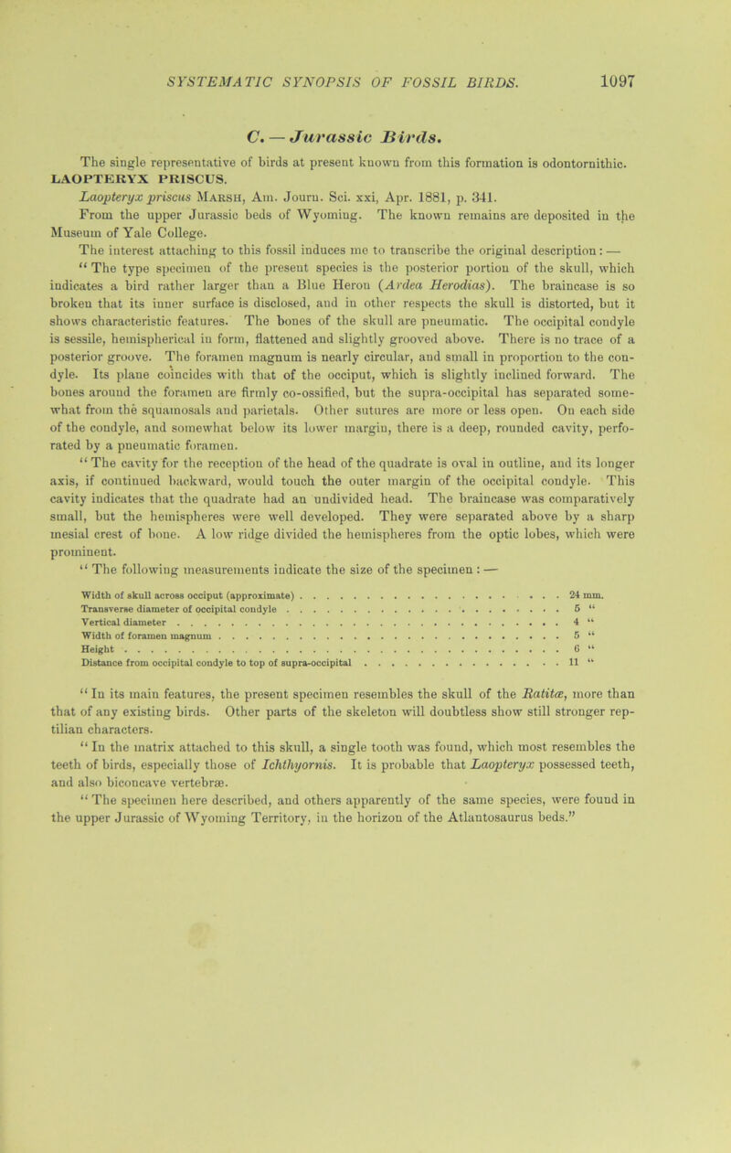 C. — Jurassic Birds. The single representative of birds at present kuovvn from this formation is odontornithic. LAOPTERYX PRISCUS. Laopteryx prisons Maksh, Am. Jouru. Sci. xxi, Apr. 1881, p. 341. From the upper Jurassic beds of Wyoming. The known remains are deposited in the Museum of Yale College. The interest attaching to this fossil induces me to transcribe the original description: — “ The type specimen of the present species is the posterior portion of the skull, which indicates a bird rather larger than a Blue Heron (Ardea Herodias). The braincase is so broken that its inner surface is disclosed, aud in other respects the skull is distorted, but it shows characteristic features. The bones of the skull are pneumatic. The occipital condyle is sessile, hemispherical in form, flattened and slightly grooved above. There is no trace of a posterior groove. The foramen magnum is nearly circular, and small in proportion to the con- dyle. Its plane coincides with that of the occiput, which is slightly inclined forward. The bones around the foramen are firmly co-ossified, but the supra-occipital has separated some- what from the squamosals and parietals. Other sutures are more or less open. On each side of the condyle, and somewhat below its lower margin, there is a deep, rounded cavity, perfo- rated by a pneumatic foramen. “ The cavity for the reception of the head of the quadrate is oval in outline, aud its longer axis, if continued backward, would touch the outer margin of the occipital condyle. This cavity indicates that the quadrate had an undivided head. The braincase was comparatively small, but the hemispheres were well developed. They were separated above by a sharp mesial crest of bone. A low ridge divided the hemispheres from the optic lobes, which were prominent. “ The following measurements indicate the size of the specimen : — Width of skull across occiput (approximate) . . 24 mm. Transverse diameter of occipital condyle 6 “ Vertical diameter 4 44 Width of foramen magnum 5 44 Height 6 44 Distance from occipital condyle to top of supra-occipital 11 “ “ In its main features, the present specimen resembles the skull of the Ratittx, more than that of any existing birds. Other parts of the skeleton will doubtless show still stronger rep- tilian characters. “ In the matrix attached to this skull, a single tooth was found, which most resembles the teeth of birds, especially those of Ichthyornis. It is probable that Laopteryx possessed teeth, and also biconcave vertebrae. “ The specimen here described, and others apparently of the same species, were found in the upper Jurassic of Wyoming Territory, in the horizon of the Atlautosaurus beds.”