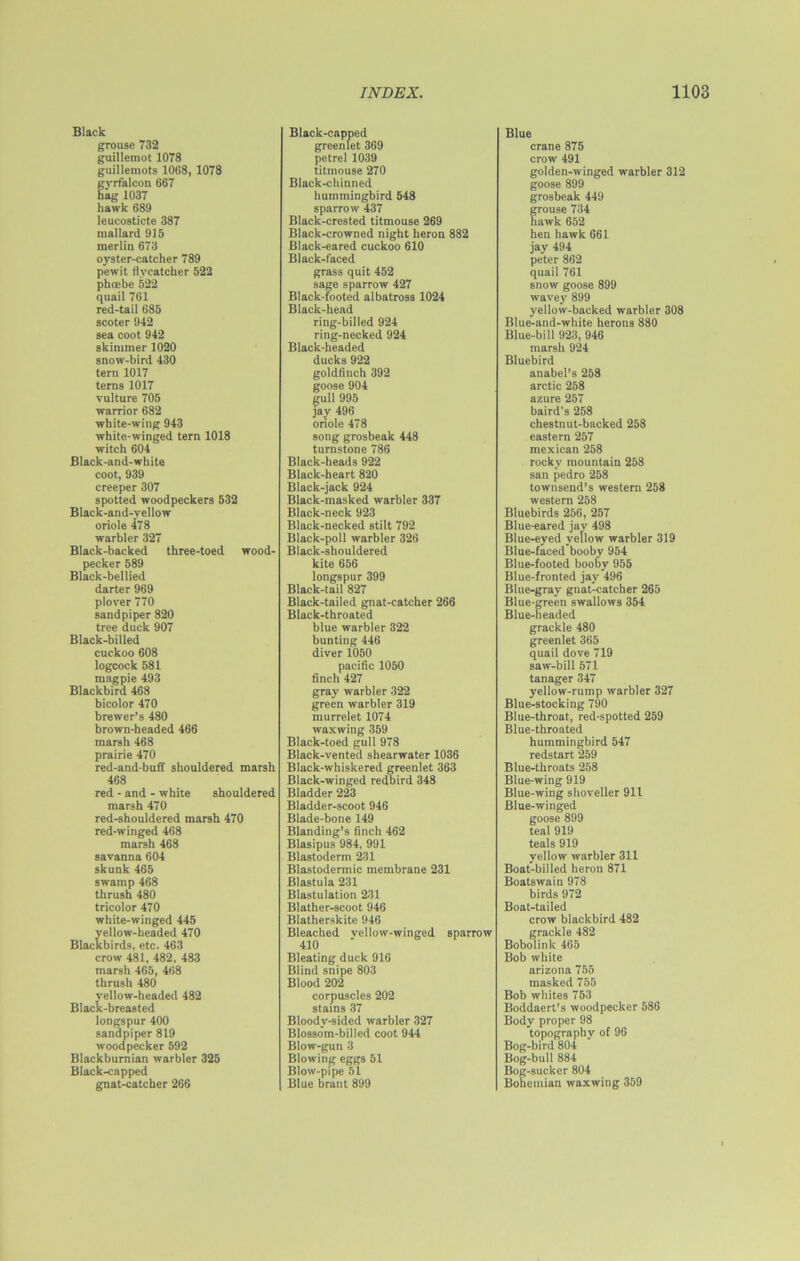 Black grouse 732 guillemot 1078 guillemots 1068, 1078 gyrfalcon 667 hag 1037 hawk 689 leucosticte 387 mallard 915 merlin 673 oyster-catcher 789 pewit flycatcher 522 phcebe 522 quail 761 red-tail 685 scoter 942 sea coot 942 skimmer 1020 snow-bird 430 tern 1017 terns 1017 vulture 705 warrior 682 white-wing 943 white-winged tern 1018 witch 604 Black-and-white coot, 939 creeper 307 spotted woodpeckers 532 Black-and-yellow oriole 478 warbler 327 Black-backed three-toed wood- pecker 589 Black-bellied darter 969 plover 770 sandpiper 820 tree duck 907 Black-billed cuckoo 608 logcock 581 magpie 493 Blackbird 468 bicolor 470 brewer’s 480 brown-headed 466 marsh 468 prairie 470 red-and-buff shouldered marsh 468 red - and - white shouldered marsh 470 red-shouldered marsh 470 red-winged 468 marsh 468 savanna 604 skunk 465 swamp 468 thrush 480 tricolor 470 white-winged 445 yellow-headed 470 Blackbirds, etc. 463 crow 481, 482. 483 marsh 465, 468 thrush 480 yellow-headed 482 Black-breasted longspur 400 sandpiper 819 woodpecker 592 Blackburnian warbler 325 Black-capped gnat-catcher 266 Black-capped greenlet 369 petrel 1039 titmouse 270 Black-chinned hummingbird 548 sparrow 437 Black-crested titmouse 269 Black-crowned night heron 882 Black-eared cuckoo 610 Black-faced grass quit 452 sage sparrow 427 Black-footed albatross 1024 Black-head ring-billed 924 ring-necked 924 Black-headed ducks 922 goldfinch 392 goose 904 gull 995 jay 496 oriole 478 song grosbeak 448 turnstone 786 Black-heads 922 Black-heart 820 Black-jack 924 Black-masked warbler 337 Black-neck 923 Black-necked stilt 792 Black-poll warbler 326 Black-shouldered kite 656 longspur 399 Black-tail 827 Black-tailed gnat-catcher 266 Black-throated blue warbler 322 bunting 446 diver 1050 pacific 1050 finch 427 gray warbler 322 green warbler 319 murrelet 1074 waxwing 359 Black-toed gull 978 Black-vented shearwater 1036 Black-whiskered greenlet 363 Black-winged redbird 348 Bladder 223 Bladder-scoot 946 Blade-bone 149 Blanding’s finch 462 Blasipus 984, 991 Blastoderm 231 Blastodermic membrane 231 Blastula 231 Blastulation 231 Blather-scoot 946 Blatherskite 946 Bleached vellow-winged sparrow 410 Bleating duck 916 Blind snipe 803 Blood 202 corpuscles 202 stains 37 Bloody-sided warbler 327 Blossom-billed coot 944 Blow-gun 3 Blowing eggs 51 Blow-pipe 51 Blue brant 899 Blue crane 875 crow 491 golden-winged warbler 312 goose 899 grosbeak 449 grouse 734 hawk 652 hen hawk 661 jay 494 peter 862 quail 761 snow goose 899 wavey 899 yellow-backed warbler 308 Blue-and-white herons 880 Blue-bill 923, 946 marsh 924 Bluebird anabel’s 258 arctic 258 azure 257 baird’s 258 chestnut-backed 258 eastern 257 mexican 258 rocky mountain 258 san pedro 258 townsend’s western 258 western 258 Bluebirds 256, 257 Blue-eared jay 498 Blue-eyed yellow warbler 319 Blue-faced booby 954 Blue-footed booby 955 Blue-fronted jay 496 Blue-gray gnat-catcher 265 Blue-green swallows 354 Blue-headed grackle 480 greenlet 365 quail dove 719 saw-bill 571 tanager 347 yellow-rump warbler 327 Blue-stocking 790 Blue-throat, red-spotted 259 Blue-throated hummingbird 547 redstart 259 Blue-throats 258 Blue-wing 919 Blue-wing shoveller 911 Blue-winged goose 899 teal 919 teals 919 yellow warbler 311 Boat-billed heron 871 Boatswain 978 birds 972 Boat-tailed crow blackbird 482 grackle 482 Bobolink 465 Bob white arizona 755 masked 755 Bob whites 753 Boddaert’s woodpecker 586 Body proper 98 topography of 96 Bog-bird 804 Bog-bull 884 Bog-sucker 804 Bohemian waxwing 359