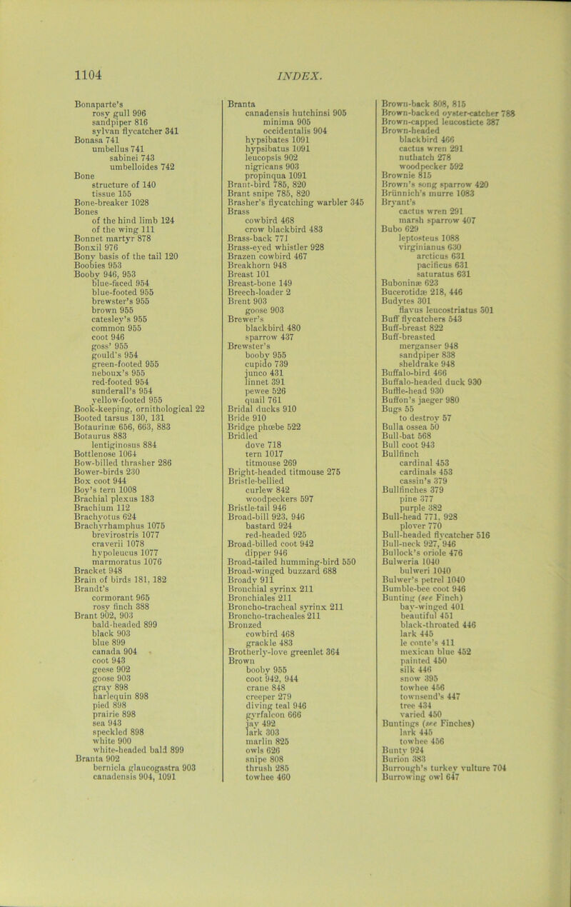 Bonaparte’s rosy gull 996 sandpiper 816 sylvan flycatcher 341 Bonasa 741 umbellus 741 sabinei 743 umbelloides 742 Bone structure of 140 tissue 155 Bone-breaker 1028 Bones of the hind limb 124 of the wing 111 Bonnet martyr 878 Bonxil 976 Bony basis of the tail 120 Boobies 953 Booby 946, 953 blue-faced 954 blue-footed 955 brewster’s 955 brown 955 catesley’s 955 common 955 coot 946 goss’ 955 gould's 954 green-footed 955 neboux’s 955 red-footed 954 sunderall’s 954 yellow-footed 955 Book-keeping, ornithological 22 Booted tarsus 130, 131 Bolaurin® 656, 663, 883 Botnurus 883 lentiginosus 884 Bottlenose 1064 Bow-billed thrasher 286 Bower-birds 230 Box coot 944 Boy’s tern 1008 Brachial plexus 183 Brachium 112 Brachyotus 624 Brachvrhamphus 1075 brevirostris 1077 craverii 1078 hvpoleucus 1077 marmoratus 1076 Bracket 948 Brain of birds 181, 182 Brandt’s cormorant 965 rosy finch 388 Brant 902, 903 bald-headed 899 black 903 blue 899 Canada 904 coot 943 geese 902 goose 903 gray 898 harlequin 898 pied 898 prairie 898 sea 943 speckled 898 white 900 white-headed bald 899 Branta 902 bernicla glaucogastra 903 canadensis 904, 1091 Branta canadensis hutchinsi 905 minima 905 occidentalis 904 hvpsibates 1091 hypsibatus 1091 leucopsis 902 nigricans 903 propinqua 1091 Brant-bird 785, 820 Brant snipe 785, 820 Brasher’s flycatching warbler 345 Brass cowbird 468 crow blackbird 483 Brass-back 771 Brass-eyed whistler 928 Brazen cowbird 467 Breakhorn 948 Breast 101 Breast-bone 149 Breech-loader 2 Brent 903 goose 903 Brewer’s blackbird 480 sparrow 437 Brewster’s booby 955 cupido 739 junco 431 linnet 391 pewee 526 quail 761 Bridal ducks 910 Bride 910 Bridge phoebe 522 Bridled dove 718 tern 1017 titmouse 269 Bright-headed titmouse 275 Bristle-bellied curlew 842 woodpeckers 597 Bristle-tail 946 Broad-bill 923. 946 bastard 924 red-headed 925 Broad-billed coot 942 dipper 946 Broad-tailed humming-bird 550 Broad-winged buzzard 688 Broady 911 Bronchial syrinx 211 Bronchiales 211 Broncho-tracheal syrinx 211 Broncho-tracheales 211 Bronzed cowbird 468 grackle 483 Brotherly-love greenlet 364 Brown booby 955 coot 942, 944 crane 848 creeper 279 diving teal 946 gvrfalcon 666 jav 492 lark 303 marlin 825 owls 626 snipe 808 thrush 285 towhee 460 Brown-back 808, 815 Brown-backed oyster-catcher 788 Brown-capped leucosticte 387 Brown-headed blackbird 466 cactus wren 291 nuthatch 278 woodpecker 592 Brownie 815 Brown’s song sparrow 420 Briinnich’s murre 1083 Bryant’s cactus wren 291 marsh sparrow 407 Bubo 629 leptosteus 1088 Virginian us 630 arcticus 631 pacificus 631 saturatus 631 Buboninm 623 Bucerotidae 218, 446 Budvtes 301 flavus leucostriatus 301 Buff flycatchers 543 Buff-breast 822 Buff-breasted merganser 948 sandpiper 838 sheldrake 948 Buffalo-bird 466 Buffalo-headed duck 930 Buffle-head 930 Buffon’s jaeger 980 Bugs 55 to destroy 57 Bulla ossea 50 Bull-bat 568 Bull coot 943 Bullfinch cardinal 453 cardinals 453 cassin’s 379 Bullfinches 379 pine 377 purple 382 Bull-head 771, 928 plover 770 Bull-headed flycatcher 516 Bull-neck 927, 946 Bullock’s oriole 476 Buhveria 1040 bulweri 1040 Bulwer’s petrel 1040 Bumble-bee coot 946 Bunting (see Finch) bay-winged 401 beautiful 451 black-throated 446 lark 445 le conte’s 411 mexican blue 452 painted 450 silk 446 snow 395 towhee 456 townsend’s 447 tree 434 varied 450 Buntings (see Finches) lark 445 towhee 456 Buntv 924 Burion 383 Burroughs turkey vulture 704 Burrowing owl 647