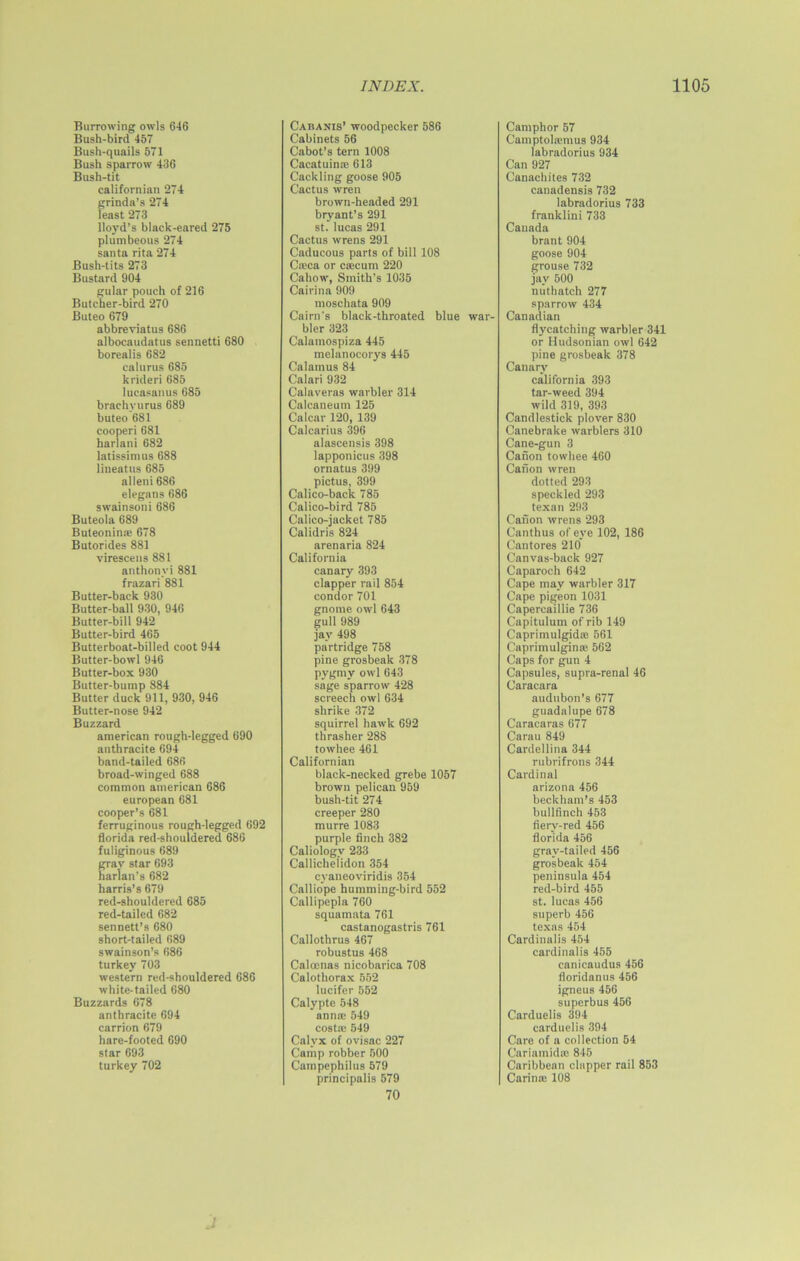 Burrowing owls 646 Bush-bird 457 Bush-quails 571 Bush sparrow 436 Bush-tit Californian 274 grinda’s 274 least 273 lloyd’s black-eared 275 plumbeous 274 santa rita 274 Bush-tits 273 Bustard 904 gular pouch of 216 Butcher-bird 270 Buteo 679 abbreviatus 686 albocaudatus sennetti 680 borealis 682 calurus 685 krideri 685 lucasanus 685 brachvurus 689 buteo 681 cooperi 681 harlani 682 latissinius 688 lineatus 685 alleni 686 elegans 686 swainsoni 686 Buteola 689 Buteonime 678 Butorides 881 virescens 881 anthonvi 881 frazari 881 Butter-back 930 Butter-ball 930, 946 Butter-bill 942 Butter-bird 465 Butterboat-billed coot 944 Butter-bowl 946 Butter-box 930 Butter-bump 884 Butter duck 911, 930, 946 Butter-nose 942 Buzzard american rough-legged 690 anthracite 694 band-tailed 686 broad-winged 688 common american 686 european 681 cooper’s 681 ferruginous rough-legged 692 florida red-shouldered 686 fuliginous 689 grav star 693 harlan’s 682 harris’s 679 red-shouldered 685 red-tailed 682 sennett’s 680 short-tailed 689 swainson’s 686 turkey 703 western red-shouldered 686 white-tailed 680 Buzzards 678 anthracite 694 carrion 679 hare-footed 690 star 693 turkey 702 Cabanis’ woodpecker 586 Cabinets 56 Cabot’s tern 1008 Cacatuinre 613 Cackling goose 905 Cactus wren brown-headed 291 bryant’s 291 st. lucas 291 Cactus wrens 291 Caducous parts of bill 108 Ca;ca or caecum 220 Callow, Smith's 1035 Cairina 909 moschata 909 Cairn's black-throated blue war- bler 323 Calamospiza 445 melanocorys 445 Calamus 84 Calari 932 Calaveras warbler 314 Calcaneum 125 Calcar 120, 139 Calcarius 396 alascensis 398 lapponicus 398 ornatus 399 pictus, 399 Calico-back 785 Calico-bird 785 Calico-jacket 785 Calidris 824 arenaria 824 California canary 393 clapper rail 854 condor 701 gnome owl 643 gull 989 jay 498 partridge 758 pine grosbeak 378 pygmy owl 643 sage sparrow 428 screech owl 634 shrike 372 squirrel hawk 692 thrasher 288 towhee 461 Californian black-necked grebe 1057 brown pelican 959 bush-tit 274 creeper 280 murre 1083 purple finch 382 Caliology 233 Callichelidon 354 cyaneoviridis 354 Calliope humming-bird 552 Callipepla 760 squamata 761 castanogastris 761 Callothrus 467 robustus 468 Catenas nicobarica 708 Calothorax 552 lucifer 552 Calypte 548 anna; 549 costa; 549 Calyx of ovisac 227 Camp robber 500 Campephilus 579 principalis 579 70 Camphor 57 Camptotemus 934 labradorius 934 Can 927 Canachites 732 canadensis 732 labradorius 733 franklini 733 Canada brant 904 goose 904 grouse 732 jay 500 nuthatch 277 sparrow 434 Canadian flycatching warbler 341 or Hudsonian owl 642 pine grosbeak 378 Canary California 393 tar-weed 394 wild 319, 393 Candlestick plover 830 Canebrake warblers 310 Cane-gun 3 Canon towhee 460 Canon wren dotted 293 speckled 293 texan 293 Canon wrens 293 Canthus of eye 102, 186 Cantores 210 Canvas-back 927 Caparoch 642 Cape may warbler 317 Cape pigeon 1031 Capercaillie 736 Capitulum of rib 149 Caprimulgidas 561 Caprimulgina; 562 Caps for gun 4 Capsules, supra-renal 46 Caracara audubon’s 677 guadalupe 678 Caracaras 677 Carau 849 Cardellina 344 rubrifrons 344 Cardinal arizona 456 beckham’s 453 bullfinch 453 fierv-red 456 florida 456 gray-tailed 456 grosbeak 454 peninsula 454 red-bird 455 st. lucas 456 superb 456 texas 454 Cardinalis 454 cardinalis 455 canicaudus 456 floridanus 456 igneus 456 superbus 456 Carduelis 394 carduelis 394 Care of a collection 54 Cariamida: 845 Caribbean chipper rail 853 Carina; 108 .1