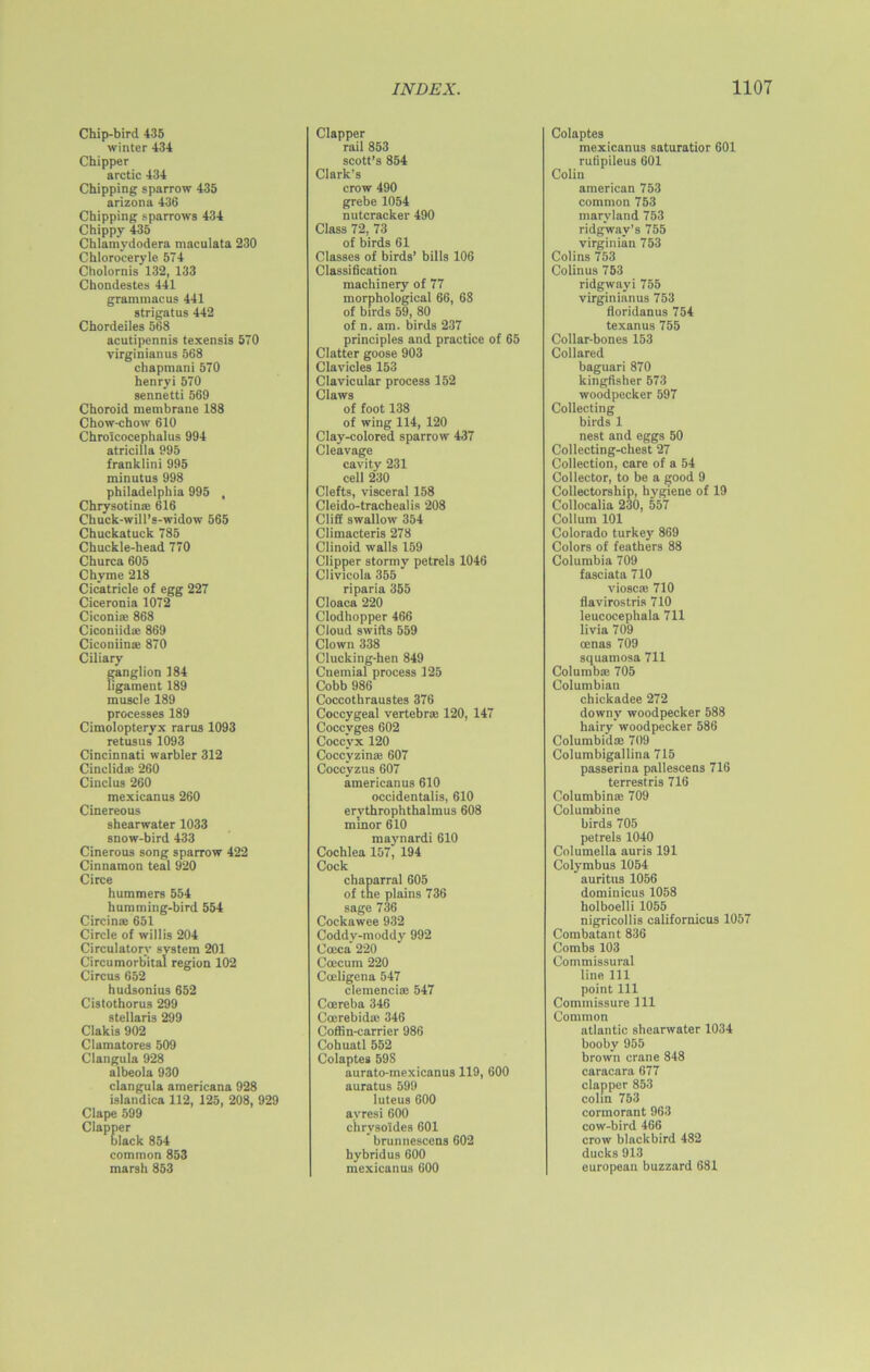 Chip-bird 435 winter 434 Chipper arctic 434 Chipping sparrow 435 arizona 436 Chipping sparrows 434 Chippy 435 Chlamydodera maculata 230 Chloro'ceryle 574 Cholornis 132, 133 Chondestes 441 grammacus 441 strigatus 442 Chordeiles 568 acutipennis texensis 570 yirginianus 568 chapmani 570 henryi 570 sennetti 569 Choroid membrane 188 Chow-chow 610 Chroicocephalus 994 atricilla 995 franklini 995 minutus 998 Philadelphia 995 , Chrysotina; 616 Chuck-will’s-widow 565 Chuckatuck 785 Chuckle-head 770 Churca 605 Chyme 218 Cicatricle of egg 227 Ciceronia 1072 Ciconiffi 868 Ciconiid® 869 Ciconiinas 870 Ciliary ganglion 184 ligament 189 muscle 189 processes 189 Cimolopteryx rarus 1093 retusus 1093 Cincinnati warbler 312 Cinclid® 260 Cinclus 260 mexicanus 260 Cinereous shearwater 1033 snow-bird 433 Cinerous song sparrow 422 Cinnamon teal 920 Circe hummers 554 humming-bird 554 Circin* 651 Circle of willis 204 Circulatory system 201 Circumorbital region 102 Circus 652 hudsonius 652 Cistothorus 299 stellaris 299 Claki3 902 Clainatores 509 Clangula 928 albeola 930 clangula ainericana 928 islandica 112, 125, 208, 929 Clape 599 er lack 854 common 853 marsh 853 Clapper rail 853 scott’s 854 Clark’s crow 490 grebe 1054 nutcracker 490 Class 72, 73 of birds 61 Classes of birds’ bills 106 Classification machinery of 77 morphological 66, 68 of birds 59, 80 of n. am. birds 237 principles and practice of 65 Clatter goose 903 Clavicles 153 Clavicular process 152 Claws of foot 138 of wing 114, 120 Clay-colored sparrow 437 Cleavage cavity 231 cell 230 Clefts, visceral 158 Cleido-trachealis 208 Cliff swallow 354 Climacteris 278 Clinoid walls 159 Clipper stormy petrels 1046 Clivicola 355 riparia 355 Cloaca 220 Clodhopper 466 Cloud swifts 559 Clown 338 Clucking-hen 849 Cnemial process 125 Cobb 986 Coccothraustes 376 Coccygeal vertebrae 120, 147 Coccyges 602 Coccyx 120 Coccyzinae 607 Coccyzus 607 americanus 610 occidentalis, 610 erythrophthalmus 608 minor 610 maynardi 610 Cochlea 157^ 194 Cock chaparral 605 of the plains 736 sage 736 Cockawee 932 Coddv-moddy 992 Cceca 220 Ccecum 220 Coeligena 547 clemenci® 547 Coereba 346 Ccerebidte 346 Coffin-carrier 986 Cohuatl 552 Colaptes 598 aurato-mexicanus 119, 600 auratus 599 luteus 600 ayresi 600 chrysoldes 601 brunnescens 602 hybridus 600 mexicanus 600 Colaptes mexicanus saturatior 601 rulipileus 601 Colin american 753 common 753 maryland 753 ridgway’s 755 Virginian 753 Colins 753 Colinus 753 ridgwayi 755 virginianus 753 floridanus 754 texanus 755 Collar-bones 153 Collared baguari 870 kingfisher 573 woodpecker 597 Collecting birds 1 nest and eggs 50 Collecting-chest 27 Collection, care of a 54 Collector, to be a good 9 Collectorship, hygiene of 19 Collocalia 230, 557 Collum 101 Colorado turkey 869 Colors of feathers 88 Columbia 709 fasciata 710 vioscas 710 flavirostris 710 leucocephala 711 livia 709 oenas 709 squamosa 711 Columb® 705 Columbian chickadee 272 downy woodpecker 588 hairy woodpecker 586 Columbidoe 709 Columbigallina 715 passerina pallescens 716 terrestris 716 Columbia® 709 Columbine birds 705 petrels 1040 Columella auris 191 Colymbus 1054 auritns 1056 dominicus 1058 holboelli 1055 nigricollis californicus 105 Combatant 836 Combs 103 Commissural line 111 point 111 Commissure 111 Common atlantic shearwater 1034 booby 955 brown crane 848 caracara 677 clapper 853 colin 753 cormorant 963 cow-bird 466 crow blackbird 482 ducks 913 european buzzard 681