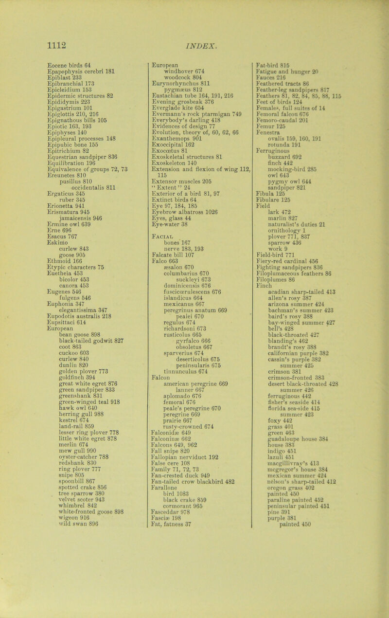 Eocene birds 64 Ep,apophysis cerebri 181 Epiblast 233 Epibranchinl 173 Epicleidium 153 Epidermic structures 82 Epididymis 223 Epigastrium 101 Epiglottis 210, 216 Epignathous bills 105 Epiotic 163, 193 Epiphyses i40 Epipleural processes 148 Epipubic bone 155 Epitriebium 82 Equestrian sandpiper 836 Equilibration 196 Equivalence of groups 72, 73 Ereunetes 810 pusillus 810 occidentalis 811 Ergaticus 345 ruber 345 Erionetta 941 Erismatura 945 jamaicensis 946 Ermine owl 639 Erne 696 Esacus 767 Eskimo curlew 843 goose 905 Ethmoid 166 Etypic characters 75 Euetheia 453 bicolor 453 canora 453 Eugenes 546 fulgens 546 Euphonia 347 elegantissima 347 Eupodotis australis 218 Eupsittaci 614 European bean goose 898 black-tailed godwit 827 coot 863 cuckoo 603 curlew 840 dunlin 820 golden plover 773 goldfinch 394 great white egret 876 green sandpiper 833 greenshatik 831 green-winged teal 918 hawk owl 640 herring gull 988 kestrel 674 land-rail 859 lesser ring plover 778 little white egret 878 merlin 674 mew gull 990 oyster-catcher 788 redshank 830 ring plover 777 snipe 805 spoonbill 867 spotted crake 856 tree sparrow 380 velvet scoter 943 whimbrel 842 white-fronted goose 898 wigcon 916 wild swan 896 European windhover 674 woodcock 804 Eurynorhynchus 811 pygmteus 812 Eustachian tube 164, 191, 216 Evening grosbeak 376 Everglade kite 654 Evermann's rock ptarmigan 749 Everybody’s darling 418 Evidences' of design 77 Evolution, theory of, 60, 62, 66 Exanthemops 901 Exoccipital 162 Exocoetus 81 Exoskeletal structures 81 Exoskeleton 140 Extension and flexion of wing 112, 115 Extensor muscles 205 “ Extent ” 24 Exterior of a bird 81, 97 Extinct birds 64 Eye 97, 184, 185 Eyebrow albatross 1026 Eyes, glass 44 Eye-water 38 Facial bones 167 nerve 183, 193 Falcate bill 107 Falco 663 sesalon 670 columbarius 670 sucklevi 673 dominicensis 676 fuscicoerulescens 676 islandicus 664 mexicanus 667 peregrinus anatum 669 pealei 670 regulus 674 richardsoni 673 rusticolus 665 gyrfalco 666 obsoletus 667 sparverius 674 deserticolus 675 peninsularis 675 tinnunculus 674 Falcon american peregrine 669 lanner 667 aplomado 676 femoral 676 peale’s peregrine 670 peregrine 669 prairie 667 rustv-crowned 674 Falconida: 649 Falconinai 662 Falcons 649, 962 Fall snipe 820 Fallopian nerviduct 192 False cere 108 Family 71, 72, 73 Fan-crested duck 949 Fan-tailed crow blackbird 482 Farallone bird 1083 black crake 859 cormorant 965 Fasceddar 978 Fasciat 198 Fat, fatness 37 Fat-bird 815 Fatigue and hunger 20 Fauces 216 Feathered tracts 86 Feather-leg sandpipers 817 Feathers 81, 82, 84, 85, 88, 115 Feet of birds 124 Females, full suites of 14 Femoral falcon 676 Femoro-cauda! 201 Femur 125 Fenestra oval is 159, 160, 191 rotunda 191 Ferruginous buzzard 692 finch 442 mocking-bird 285 owl 643 pygmv owl 644 sandpiper 821 Fibula 125 Fibulare 125 Field lark 472 marlin 827 naturalist’s duties 21 ornithology 1 plover HI, 837 sparrow 436 work 9 Field-bird 771 Fierv-red cardinal 456 Fighting sandpipers 836 Filoplumaceous feathers 86 Filoplumes 86 Finch acadian sharp-tailed 413 alien’s rosy 387 arizona summer 424 bachman’s summer 423 baird’s rosy 388 bav-winged summer 427 bell’s 428 black-throated 427 blanding’s 462 brandt’s rosy 388 Californian purple 382 cassin’s purple 382 summer 425 crimson 381 crimson-fronted 383 desert black-throated 428 summer 426 ferruginous 442 fisher’s seaside 414 florida sea-side 415 summer 423 foxy 442 grass 401 green 463 guadaloupe house 384 house 383 indigo 451 lazuli 451 maegillivray’s 413 mcgregor’s house 384 mexican summer 424 nelson’s sharp-tailed 412 Oregon grass 402 painted 450 paraline painted 452 peninsular painted 451 pine 391 purple 381 painted 450