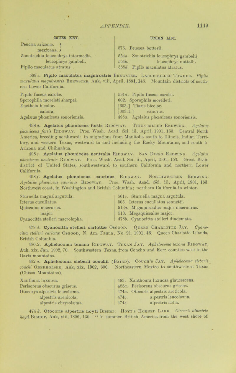 COUES KEY. Peucfea arizome. ) mexicana. ) Zonotrichia leucophrys intermedia. leucophrys gambeli. Pipilo maculatus atratus. UNION LIST. 576. Peucasa botterii. 554a. Zonotrichia leucophrys gambelii. 5546. leucophrys nuttalli. 588d. Pipilo maculatus atratus. 588 e. Pipilo maculatus magnirostris Brewster. Large-billed Towhee. Pipilo maculatus magnirostris Brewster, Auk, viii, April, 1891, 140. Mountain districts of south- ern Lower California. Pipilo fuscus carolae. Sporophila moreleti sharpei. Euetheia bicolor. canora. Agelieus phoeniceus sonoriensis. 591 d. Pipilo fuscus carolaj. 602. Sporophila morelleti. [603.] Tiaris bicolor. [603.1.] canorus. 498a. Agelaius phoeniceus sonoriensis 498d. Agelaius phoeniceus fortis Ridgway. Thick-billed Redwing. Agelaius phoeniceus fortis Ridgway. Proc. Wash. Acad. Sci. iii, April, 1901, 153. Central North America, breeding northward; in migrations from Manitoba south to Illinois, Indian Terri- tory, and western Texas, westward to and including the Rocky Mountains, and south to Arizona and Chihuahua. 498 e. Agelaius phoeniceus neutralis Ridgway. San Diego Redwing. Agelaius phoeniceus neutralis Ridgway. Proc. Wash. Acad. Sci. iii, April, 1901, 153. Great Basin district of United States, soutbwestward to southern California and northern Lower California. 498/. Agelaius phoeniceus caurinus Ridgway. Northwestern Redwing. Agelaius phoeniceus caurinus Ridgway. Proc. Wash. Acad. Sci. iii, April, 1901, 153. Northwest coast, in Washington and British Columbia; northern California in winter. Sturnella magna argutula. Icterus cucullatus. Quiscalus macrurus. major. Cyanocitta stelleri macrolopha. 501c. Sturnella magna argutula. 505. Icterus cucullatus sennetti. 513a. Megaquiscalus major macrourus. 513. Megaquiscalus major. 4786. Cyanocitta stelleri diademata. 478 d. Cyanocitta stelleri carlottse Osgood. Queen Charlotte Jay. Cyano- citta stelleri carloltce Osgood, N. Am. Fauna, No. 21, 1901, 46. Queen Charlotte Islands, British Columbia. 480.2. Aphelocoma texana Ridgway. Texan Jay. Aphelocoma texana Ridgway, Auk, xix, Jan. 1902, 70. Southwestern Texas, from Concho and Kerr counties west to the Davis mountains. 482 a. Aphelocoma sieberii couchii (Baird). Couch’s Jay. Aphelocoma sieberii > couchi Oberiiolser, Auk, xix, 1902, 300. Northeastern Mexico to southwestern Texas (Chisos Mountains). Xanthura luxuosa. Perisoreus obscurus griseus. Otocorys alpestris leucohema. alpestris arenicola. alpestris chrysokema. 483. Xantboura luxuosa glaucescens. 485a. Perisoreus obscurus griseus. 474a. Otocoris alpestris arcticola. 474c. alpestris leucolfeiria. 474e. alpestris actia. 474 k. Otocoris alpestris hoyti Bishop. Hoyt’s Horned Lark. Otocoris alpestris hoyti Bishop, Auk, xiii, 1896, 130. “In summer British America from the west shore of