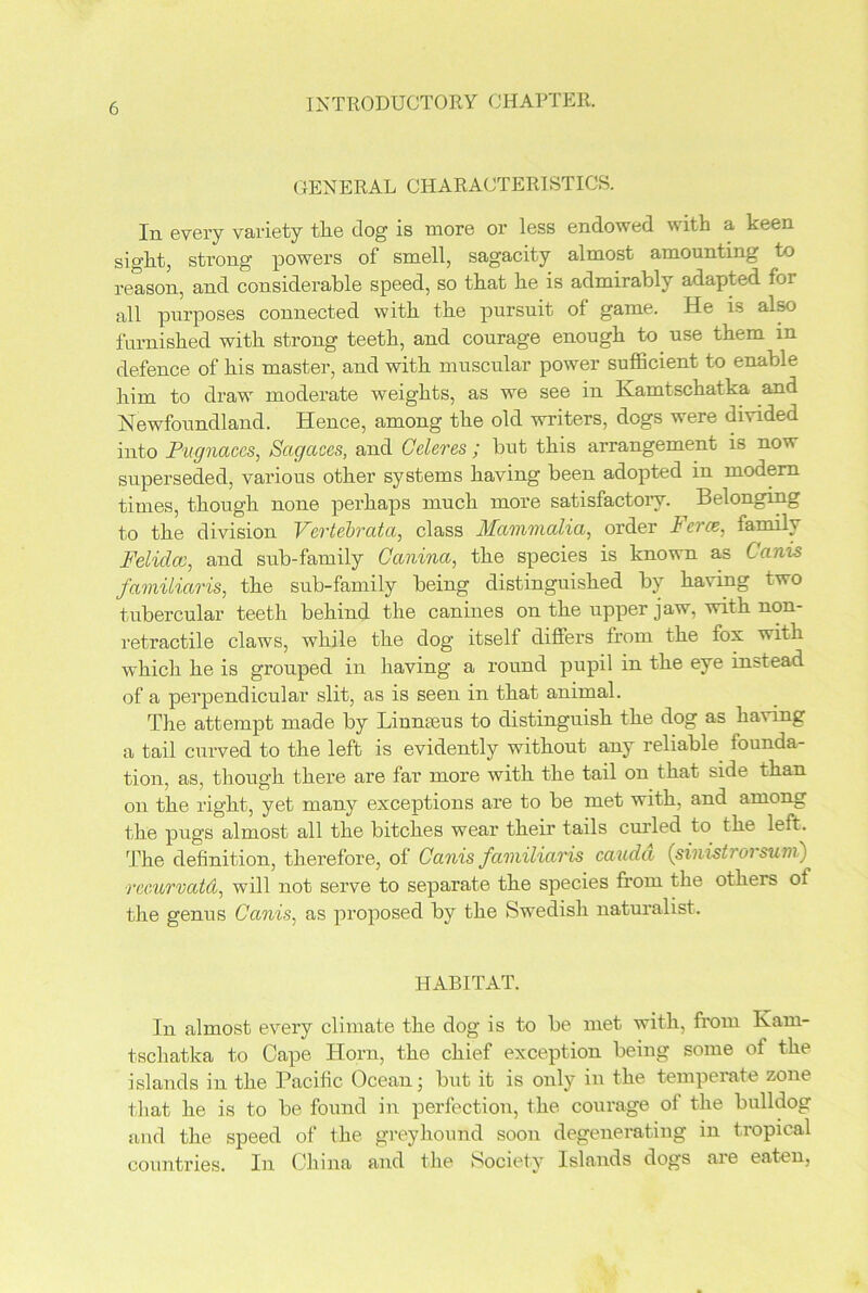 GENERAL CHARACTERISTICS. In every variety the dog is more or less endowed with a keen sight, strong powers of smell, sagacity almost amounting to reason, and considerable speed, so that he is admirably adapted for all purposes connected with the pursuit of game. He is also furnished with strong teeth, and courage enough to use them in defence of his master, and with muscular power sufficient to enable him to draw moderate weights, as we see in Kamtschatka and Newfoundland. Hence, among the old writers, dogs were divided into Pugnaces, Sctgaces, and Geleres ; but this arrangement is now superseded, various other systems having been adopted in modem times, though none perhaps much more satisfactory. Belonging to the division Vertebrata, class Mammalia, order Fcrce. family Felidcc, and sub-family Canina, the species is known as Cams familiaris, the sub-family being distinguished by having two tubercular teeth behind the canines on the upper jaw, with non- retractile claws, while the dog itself differs from the fox with which he is grouped in having a round pupil in the eye instead of a perpendicular slit, as is seen in that animal. The attempt made by Linneeus to distinguish the dog as having a tail curved to the left is evidently without any reliable founda- tion, as, though there are far more with the tail on that side than on the right, yet many exceptions are to be met with, and among the pugs almost all the bitches wear their tails curled to the left. The definition, therefore, of Canis familiaris cauda (sinistrorsum) ■rcc.urvatd, will not serve to separate the species from the others of the genus Canis, as proposed by the Swedish naturalist. HABITAT. In almost every climate the dog is to be met with, from Kam- tschatka to Cape Horn, the chief exception being some of the islands in the Pacific Ocean; but it is only in the temperate zone that he is to be found in perfection, the courage of the bulldog and the speed of the greyhound soon degenerating in tropical countries. In China and the Society Islands dogs are eaten,