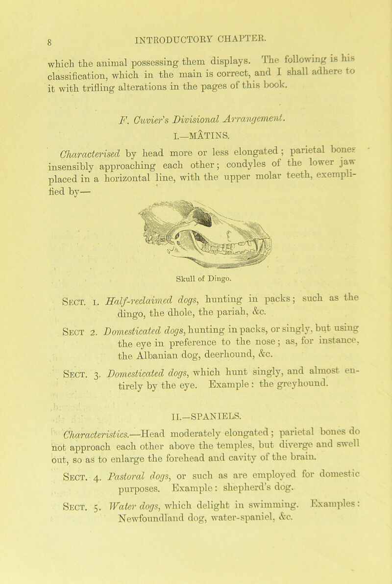 which the animal possessing them displays. rl he following is his classification, which in the main is correct, and I shall adhere to it with trifling alterations in the pages of this book. F. Cuvier's Divisional Arrangement. I.—MATINS. Characterised by head more or less elongated; parietal bones insensibly approaching each other; condyles of the lower jaw placed in a horizontal line, with the upper molar teeth, exempli- fied by— Sect. i. Half-reclaimed dogs, hunting in packs; such as the dingo, the dhole, the pariah, &c. Sect 2. Domesticated dogs, hunting in packs, or singly, but using the eye in preference to the nose; as, for instance, the Albanian dog, deerhound, &c. Sect. 3. Domesticated dogs, which hunt singly, and almost en- tirely by the eye. Example : the greyhound. II.—SPANIELS. Characteristics.—Head moderately elongated ; parietal bones do hot approach each other above the temples, but diverge and swell out, so as to enlarge the forehead and cavity of the brain. Sect. 4. Pastoral dogs, or such as are employed for domestic purposes. Example: shepherd’s dog. Sect. 5. Water dogs, wdiich delight in swimming. Examples: Newfoundland dog, water-spaniel, &c.