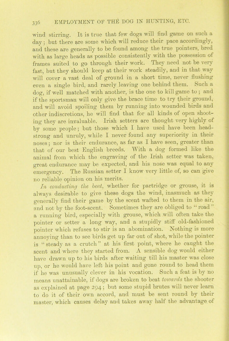 wind stirring. It is true that few dogs will find game on such a day ; but there are some which will reduce their pace accordingly, and these are generally to be found among the true pointers, bred with as large heads as possible consistently with the possession of frames suited to go through their work. They need not be very fast, but they should keep at their work steadily, and in that way will cover a vast deal of ground in a short time, never flushing even a single bird, and rarely leaving one behind them. Such a dog, if well matched with another, is the one to kill game to ; and if the spoilsman will only give the brace time to tiy their ground, and will avoid spoiling them by running into wounded birds and other indiscretions, he will find that for all kinds of open shoot- ing they are invaluable. Irish setters are thought very highly of by some people; but those which I have used have been head- strong and unruly, while I never found any superiority in their noses; nor is their endurance, as far as I have seen, greater than that of our best English breeds. With a dog formed like the animal from which the engraving of the Irish setter was taken, great endurance may be expected, and his nose was equal to any emergency. The Eussian setter I know very little of, so can give no reliable opinion on his merits. In conducting the heat, whether for partridge or grouse, it is always desirable to give these dogs the wind, inasmuch as they generally find their game by the scent wafted to them in the air, and not by the foot-scent. Sometimes they are obliged to “ road a running bird, especially with grouse, which will often take the pointer or setter a long way, and a stupidly stiff old-fashioned pointer which refuses to stir is an abomination. Nothing is more annoying than to see birds get up far out of shot, while the pointer is “ steady as a crutch ” at his first point, where he caught the scent and where they started from. A sensible dog would either have drawn up to his birds after waiting till his master was close up, or he would have left his point and gone round to head them if he was unusually clever in his vocation. Such a feat is by no means unattainable, if dogs are broken to beat towards the shooter as explained at page 294; but some stupid brutes will never learn to do it of their own accord, and must be sent round by their master, which causes delay and takes away half the advantage of