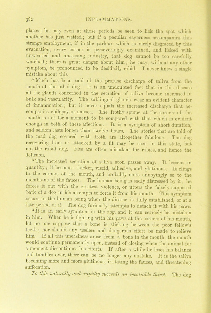 places; lie may even at those periods be seen to lick the spot which another has just wetted; but if a peculiar eagerness accompanies this strange employment, if in the parlour, which is rarely disgraced by this evacuation, every corner is perseveringly examined, and licked with unwearied and unceasing industry, that dog cannot be too carefully watched; there is great danger about him; he may, without any other symptom, be pronounced to be decidedly rabid. I never knew a single mistake about this. “Much has been said of the profuse discharge of saliva from the mouth of the rabid dog. It is an undoubted fact that in this disease all the glands concerned in the secretion of saliva become increased in bulk and vascularity. The sublingual glands wear an evident character of inflammation; but it never equals the increased discharge that ac- companies epilepsy or nausea. The frothy spume at the corners of the mouth is not for a moment to be compared with that which is evident enough in both of these affections. It is a symptom of short duration, and seldom lasts longer than twelve hours. The stories that are told of the mad dog covered Avith froth are altogether fabulous. The dog recovering from or attacked by a fit may be seen in this state, but not the rabid dog. Fits are often mistaken for rabies, and hence the delusion. “The increased secretion of saliva soon passes away. It lessens in quantity; it becomes thicker, viscid, adhesive, and glutinous. It clings to the corners of the mouth, and probably more annoyinglv so to the membrane of the fauces. The human being is sadly distressed by it; he forces it out with the greatest violence, or utters the falsely supposed baik of a do^, in his attempts to force it from his mouth. This symptom occurs in the human being when the disease is fully established, or at a late period of it. The dog furiously attempts to detach it Avith his paws. “It is an early symptom in the dog, and it can scarcely be mistaken in him. When he is fighting Avith his paws at the corners of his mouth, let no one suppose that a bone is sticking betAveen the pioor fellow’s teeth; nor should any useless and dangerous effort be made to relieve him. If all this uneasiness arose from a bone in the mouth, the mouth AArould continue permanently open, instead of closing Avlien the animal for a moment discontinues his efforts. If after a while he loses his balance and tumbles over, there can be no longer any mistake. It is the saliva becoming more and more glutinous, irritating the fauces, and threatening suffocation. To this naturally and rapidly succeeds an insatiable thirst. The doc