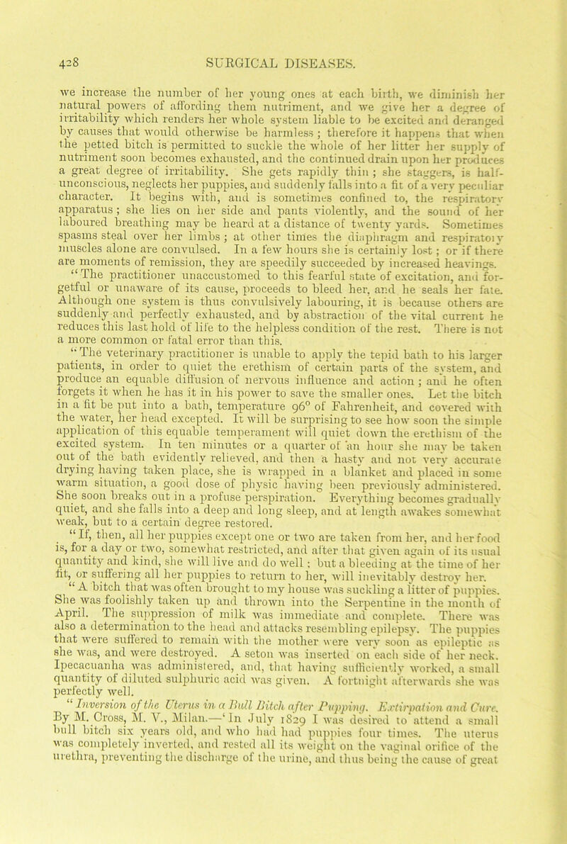 we increase the number of her young ones at each birth, we diminish her natural powers of affording them nutriment, and we give her a degree of irritability which renders her whole system liable to be excited and deranged by causes that would otherwise be harmless ; therefore it happens that when the petted bitch is permitted to suckle the whole of her litter her supply of nutriment soon becomes exhausted, and the continued drain upon her produces a great degree of irritability. She gets rapidly thin ; she staggers, is half- unconscious, neglects her puppies, and suddenly falls into a fit of a very peculiar character. It begins with, and is sometimes confined to, the respiratory apparatus ; she lies on her side and pants violently, and the sound of her laboured breathing may be heard at a distance of twenty yards. Sometimes spasms steal over her limbs ; at other times the diaphragm and respiratoiy muscles alone are convulsed. In a few hours she is certainly lost; or if there are moments of remission, they are speedily succeeded by increased heavings. “ The practitioner unaccustomed to this fearful state of excitation, ami for- getful or unaware of its cause, proceeds to bleed her, ar.d he seals her fate. Although one system is thus convulsively labouring, it is because others are suddenly and perfectly exhausted, and by abstraction of the vital current he reduces this last hold of life to the helpless condition of the rest. There is not a more common or fatal error than this. ‘• The veterinary practitioner is unable to apply the tepid bath to his larger patients, in order to quiet the erethism of certain parts of the system, and produce an equable diffusion of nervous influence and action ; and he often forgets it when he has it in his power to save the smaller ones. Let the bitch in a fit be put into a bath, temperature g6° of Fahrenheit, and covered with the water, her head excepted. It will be surprising to see how soon the simple application of this equable temperament will quiet down the erethism of the excited system. In ten minutes or a quarter of an hour she mav be taken out of the bath evidently relieved, and then a hasty and not very accurate drying having taken place, she is wrapped in a blanket and placed in some warm situation, a good dose of physic having been previously administered. She soon breaks out in a profuse perspiration. Everything becomes gradually quiet, and she falls into a deep and long sleep, and at length awakes somewhat weak, but to a certain degree restored. “ If, then, all her puppies except one or two are taken from her, and her food is, for a day or two, somewhat restricted, and after that given again of its usual quantity and kind, she will live and do well; but a bleeding at the time of her fit, or suffering all her puppies to return to her, will inevitably destroy her. “ A bitch that was often brought to my house was suckling a litter of puppies. She was foolishly taken up and thrown into the Serpentine in the month of April. The suppression of milk was immediate and complete. There was also a determination to the head and attacks resembling epilepsy. The puppies that were suffered to remain with the mother were verv soon as epileptic as she was, and were destroyed. A seton was inserted on each side of her neck. Ipecacuanha was administered, and, that having sufficiently worked, a small quantity of diluted sulphuric acid was given. A fortnight afterwards she was perfectly well. “ Inversion of the Uterus in a Bull Bitch after Pupping. Extirpation and Cure. By M. Gross, M. V., Milan.—‘In July 1829 .1 was desired to attend a small bull bitch six years old, and who had had puppies four times. The uterus was completely inverted, and rested all its weight on the vaginal orifice of the urethra, preventing the discharge of the urine, and thus being the cause of great