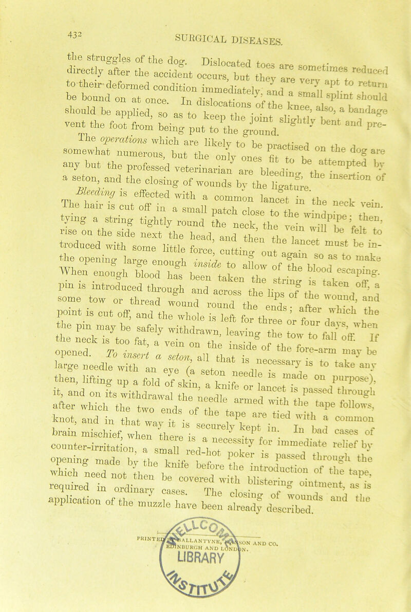 the struggles of the dog. Dislocated direo% after the accident occurs but ' re<3aCefl to their deformed condition immediately and , Vv r'!tUr be bound on at once. In dislocations of tl i ,Spllnt Bhouli should be applied, so as to keep the joint sliXt/fV ‘T*’8® vent the foot from being put to the ground ® ‘ ^ ^ the operations which are likely to be uracti-erl i i somewhat numerous, but the only ones fit t, h “ d°g ^ any but the professed yeterinariZ Zblf dn„ ZZZ *, tying a string tighTly^d thtteck''the0 yJn^r sid wi^rfi^ w5 2ith:u the Iaucet the opening large enough inside to ^oToflSTblw “0-° When enough blood has been taken the W i »: astt S‘rr “ Z opened, 7b insert a scion all tW fo^-arm mar be ^a*M^^w«SS after which the two ends f ^ the taPe Allows, boot, and in that wk itisZZe ZLT ^ Zt 1 C0,”m°U brain mischief wIiph Vi • 3 ^ept m' kac* cases of countZZZl!V7 'S1a,“eCeSSity f0r immediate relief by a£tkK?3=;^ as.*