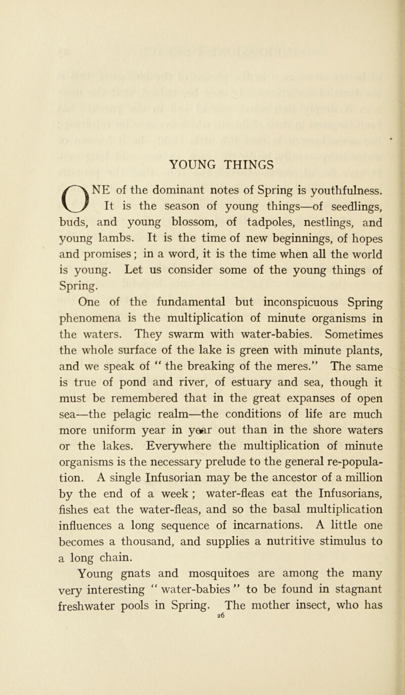 NE of the dominant notes of Spring is youthfulness. It is the season of young things—of seedlings, buds, and young blossom, of tadpoles, nestlings, and young lambs. It is the time of new beginnings, of hopes and promises; in a word, it is the time when all the world is young. Let us consider some of the young things of One of the fundamental but inconspicuous Spring phenomena is the multiplication of minute organisms in the waters. They swarm with water-babies. Sometimes the whole surface of the lake is green with minute plants, and we speak of “ the breaking of the meres.” The same is true of pond and river, of estuary and sea, though it must be remembered that in the great expanses of open sea—the pelagic realm—the conditions of life are much more uniform year in yaar out than in the shore waters or the lakes. Everywhere the multiplication of minute organisms is the necessary prelude to the general re-popula- tion. A single Infusorian may be the ancestor of a million by the end of a week ; water-fleas eat the Infusorians, fishes eat the water-fleas, and so the basal multiplication influences a long sequence of incarnations. A little one becomes a thousand, and supplies a nutritive stimulus to a long chain. Young gnats and mosquitoes are among the many very interesting “ water-babies ” to be found in stagnant freshwater pools in Spring. The mother insect, who has Spring.