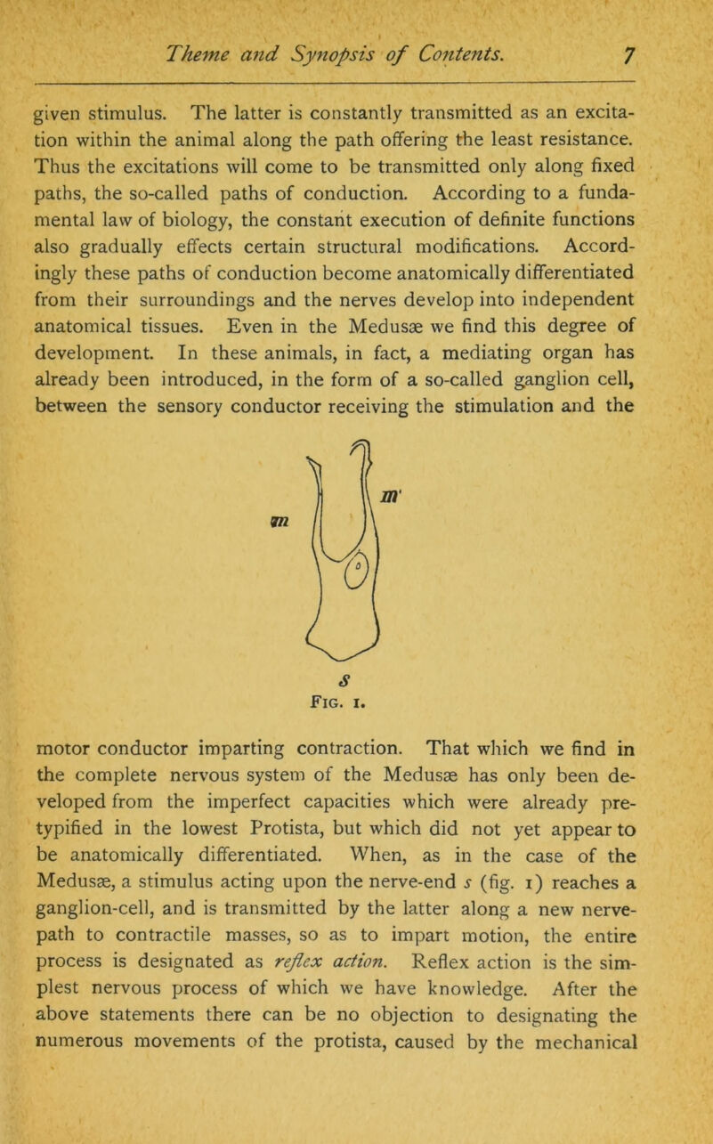 given stimulus. The latter is constantly transmitted as an excita- tion within the animal along the path offering the least resistance. Thus the excitations will come to be transmitted only along fixed paths, the so-called paths of conduction. According to a funda- mental law of biology, the constant execution of definite functions also gradually effects certain structural modifications. Accord- ingly these paths of conduction become anatomically differentiated from their surroundings and the nerves develop into independent anatomical tissues. Even in the Medusae we find this degree of development. In these animals, in fact, a mediating organ has already been introduced, in the form of a so-called ganglion cell, between the sensory conductor receiving the stimulation and the Fig. i. motor conductor imparting contraction. That which we find in the complete nervous system of the Medusae has only been de- veloped from the imperfect capacities which were already pre- typified in the lowest Protista, but which did not yet appear to be anatomically differentiated. When, as in the case of the Medusae, a stimulus acting upon the nerve-end 5 (fig. i) reaches a ganglion-cell, and is transmitted by the latter along a new nerve- path to contractile masses, so as to impart motion, the entire process is designated as reflex action. Reflex action is the sim- plest nervous process of which we have knowledge. After the above statements there can be no objection to designating the numerous movements of the protista, caused by the mechanical