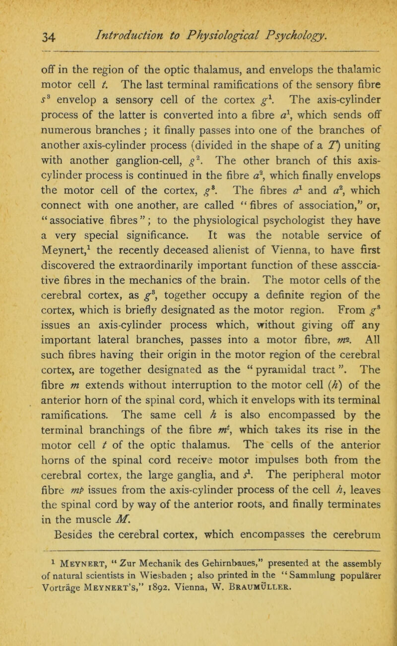 off in the region of the optic thalamus, and envelops the thalamic motor cell t. The last terminal ramifications of the sensory fibre ss envelop a sensory cell of the cortex g\ The axis-cylinder process of the latter is converted into a fibre a1, which sends off numerous branches ; it finally passes into one of the branches of another axis-cylinder process (divided in the shape of a T) uniting with another ganglion-cell, g2. The other branch of this axis- cylinder process is continued in the fibre a2, which finally envelops the motor cell of the cortex, gs. The fibres a1 and a2, which connect with one another, are called “ fibres of association,” or, “ associative fibres ”; to the physiological psychologist they have a very special significance. It was the notable service of Meynert,1 the recently deceased alienist of Vienna, to have first discovered the extraordinarily important function of these associa- tive fibres in the mechanics of the brain. The motor cells of the cerebral cortex, as gs, together occupy a definite region of the cortex, which is briefly designated as the motor region. From g* issues an axis-cylinder process which, without giving off any important lateral branches, passes into a motor fibre, n&. All such fibres having their origin in the motor region of the cerebral cortex, are together designated as the “ pyramidal tract ”. The fibre m extends without interruption to the motor cell (li) of the anterior horn of the spinal cord, which it envelops with its terminal ramifications. The same cell h is also encompassed by the terminal branchings of the fibre ml, which takes its rise in the motor cell t of the optic thalamus. The cells of the anterior horns of the spinal cord receive motor impulses both from the cerebral cortex, the large ganglia, and T. The peripheral motor fibre mP issues from the axis-cylinder process of the cell h, leaves the spinal cord by way of the anterior roots, and finally terminates in the muscle M. Besides the cerebral cortex, which encompasses the cerebrum 1 Meynert, “ Zur Mechanik des Gehirnbaues,” presented at the assembly of natural scientists in Wiesbaden ; also printed in the “Sammlung popularer Vortrage Meynert’s,” 1892. Vienna, W. Braumulef.r.