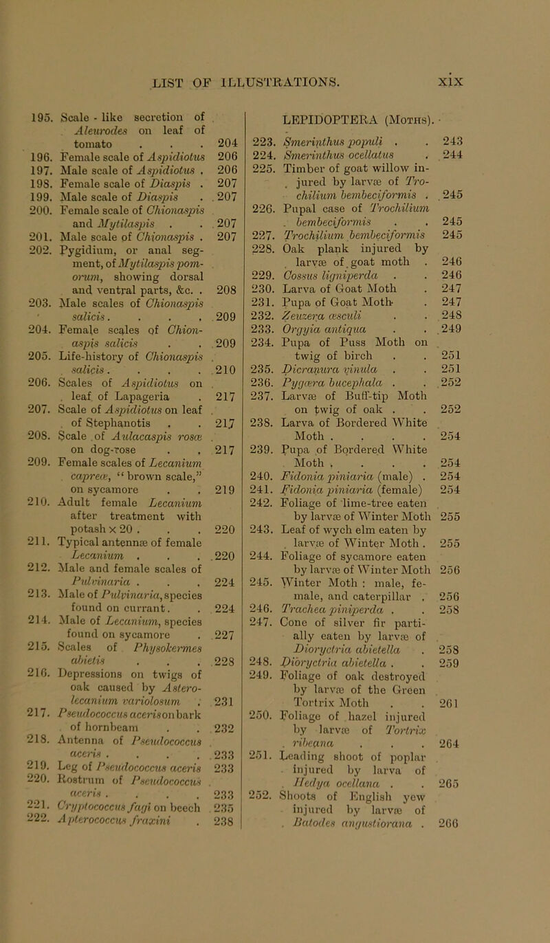 195. Scale - like secretion of Aleurodes on leaf of tomato . . . 204 196. Female scale of Aspidiotus 206 197. Male scale of Aspidiotus . 206 19S. Female scale of Diaspis . 207 199. Male scale of Diaspis . . 207 200. Female scale of Chionaspis ancl Mytilaspis . . 207 201. Male scale of Chionaspis . 207 202. Pygidium, or anal seg- ment, of Mytilaspis pom- orum, showing dorsal and ventral parts, &c. . 208 203. Male scales of Chionaspis salicis. . . . 209 204. Female scales of Chion- aspis salicis . . 209 205. Life-liistory of Chionaspis . salicis. . . . 210 206. Scales of Aspidiotus on . . leaf of Lapageria . 217 207. Scale of Aspidiotus on leaf of Stephanotis . . 21J 20S. Scale of Aidacaspis roses . on dog-rose . . 217 209. Female scales of Lecanium caprece, “brown scale,” on sycamore . . 219 210. Adult female Lecanium after treatment with potash x 20 . . . 220 211. Typical antennae of female Lecanium . . . . 220 212. Male and female scales of Pvlvinaria . . . 224 213. Male of Pvlvinaria, species found on currant. . 224 214. Male of Lecanium, species found on sycamore . 227 215. Scales of Physokermes alnetis . . . .228 216. Depressions on twigs of oak caused by Astero- lecanium variolosum . 231 217. Pseudococcus acerisowbark of hornbeam . . 232 218. Antenna of Pseudococcus aceris . . . . 233 219. Leg of Pseudococcus aceris 233 220. Rostrum of Pseudococcus aceris . . . .233 221. Cryptococcus fagi on beech 235 222. Aplerococcus fraxini . 238 LEPIDOPTERA (Moths). • 223. Smerinthus populi . . 243 224. Smerinthus ocellatus . 244 225. Timber of goat willow in- jured by larvae of Tro- chilium hemheciformis . . 245 226. Pupal case of Trochilium . hemheciformis . . 245 227. Trochilium hemheciformis 245 228. Oak plank injured by larvae of . goat moth . 246 229. Cossus ligniperda . . 246 230. Larva of Goat Moth . 247 231. Pupa of Goat Moth . 247 232. Zeuzera cescidi . . 248 233. Orgyia antiqua . . . 249 234. Pupa of Puss Moth on twig of birch . .251 235. Dicranura yinula . .251 236. Pygcera hucephala . . 252 237. Larvae of Buff-tip Moth on twig of oak . . 252 23S. Larva of Bordered White Moth .... 254 239. Pupa of Bordered White Moth .... 254 240. Fidonia piniaria (male) . 254 241. Fidonia piniaria (female) 254 242. Foliage of lime-tree eaten by larvae of Winter Moth 255 243. Leaf of wych elm eaten by larvae of Winter Moth . 255 244. Foliage of sycamore eaten by larvae of Winter Moth 256 245. Winter Moth : male, fe- male, and caterpillar . 256 246. Trachea piniperda . . 258 247. Cone of silver fir parti- ally eaten by larvae of Dioryctria ahietella . 258 248. Dioryctria ahietella . . 259 249. Foliage of oak destroyed by larvae of the Green Tortrix Moth . .261 250. Foliage of hazel injured by larvae of Tortrix . riheana , . . 264 251. Leading shoot of poplar injured by larva of . Iledya ocellana . . 265 252. Shoots of English yew injured by larvae of . Batodes angusliorana . 266