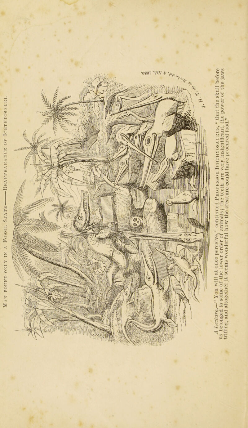 Max fouxp oxi.y ix a Fossil Statk Reappeai!axcf. of Iciithyosauiu. r A Ijccture.— ^oti will at once purceivo, continued Fkofkssou Iciitiivosaimius, “ that the skull before us belonged to some of the lower order of animals; the teeth are very insigniticant, the power of the jaws trifling, and altogether it seems wonderful how the creature could have procured fooil.”