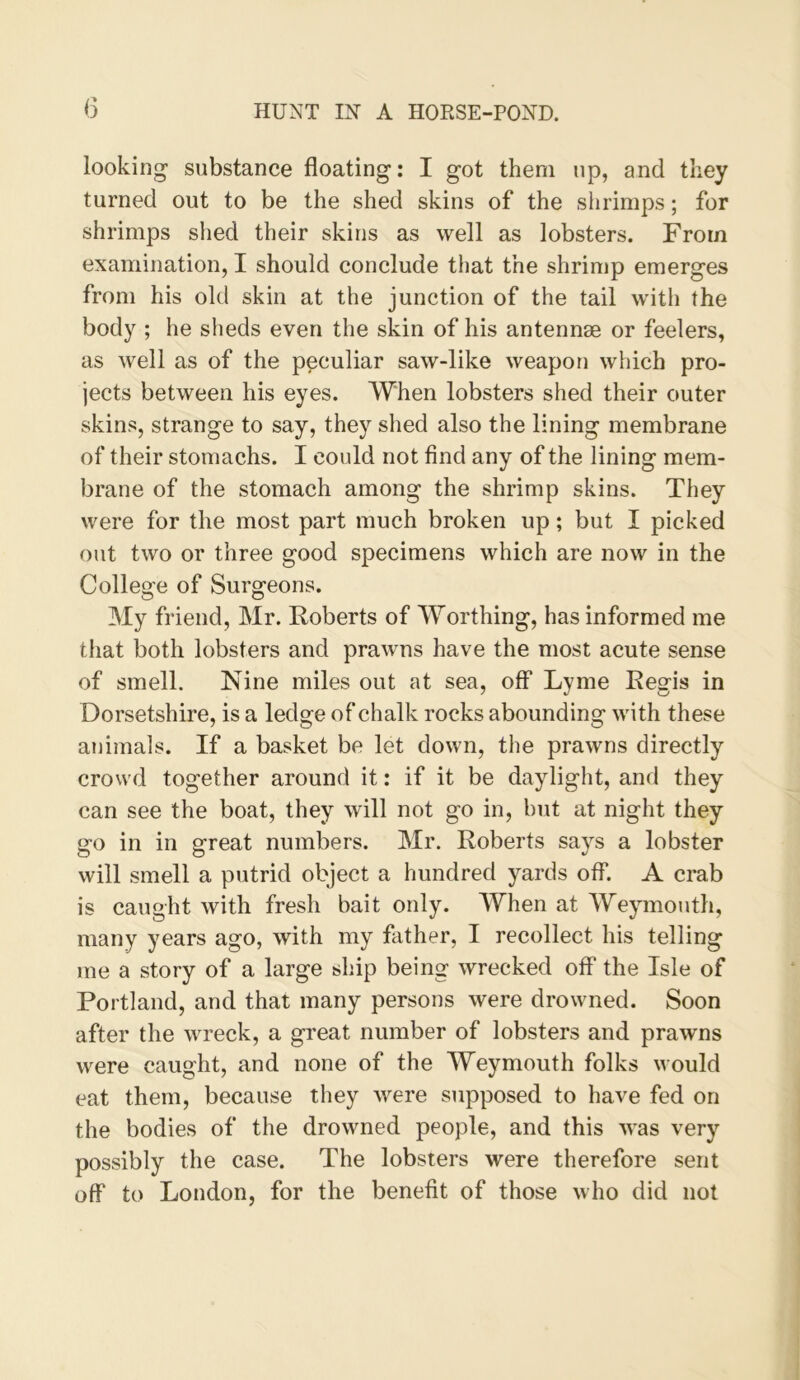 looking substance floating: I got them up, and they turned out to be the shed skins of the shrimps; for shrimps shed their skins as well as lobsters. From examination, I should conclude that the shrimp emerges from his old skin at the junction of the tail with the body ; he sheds even the skin of his antennae or feelers, as well as of the peculiar saw-like weapon which pro- jects between his eyes. When lobsters shed their outer skins, strange to say, they shed also the lining membrane of their stomachs. I could not find any of the lining mem- brane of the stomach among the shrimp skins. They were for the most part much broken up; but I picked out two or three good specimens which are now in the College of Surgeons. My friend, Mr. Roberts of Worthing, has informed me that both lobsters and prawns have the most acute sense of smell. Nine miles out at sea, off Lyme Regis in Dorsetshire, is a ledge of chalk rocks abounding with these animals. If a basket be let down, the prawns directly crowd together around it: if it be daylight, and they can see the boat, they will not go in, but at night they go in in great numbers. Mr. Roberts says a lobster will smell a putrid object a hundred yards off. A crab is caught with fresh bait only. When at Weymouth, many years ago, with my father, I recollect his telling me a story of a large ship being wrecked off the Isle of Portland, and that many persons were drowned. Soon after the wreck, a great number of lobsters and prawns were caught, and none of the Weymouth folks would eat them, because they were supposed to have fed on the bodies of the drowned people, and this was very possibly the case. The lobsters were therefore sent off to London, for the benefit of those who did not